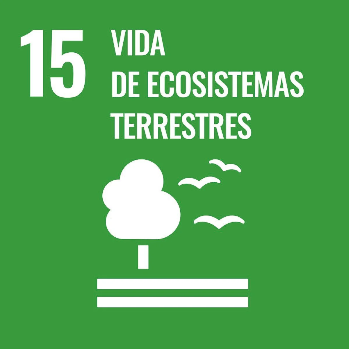 1200px-Sustainable_Development_Goal-es-03.jpg