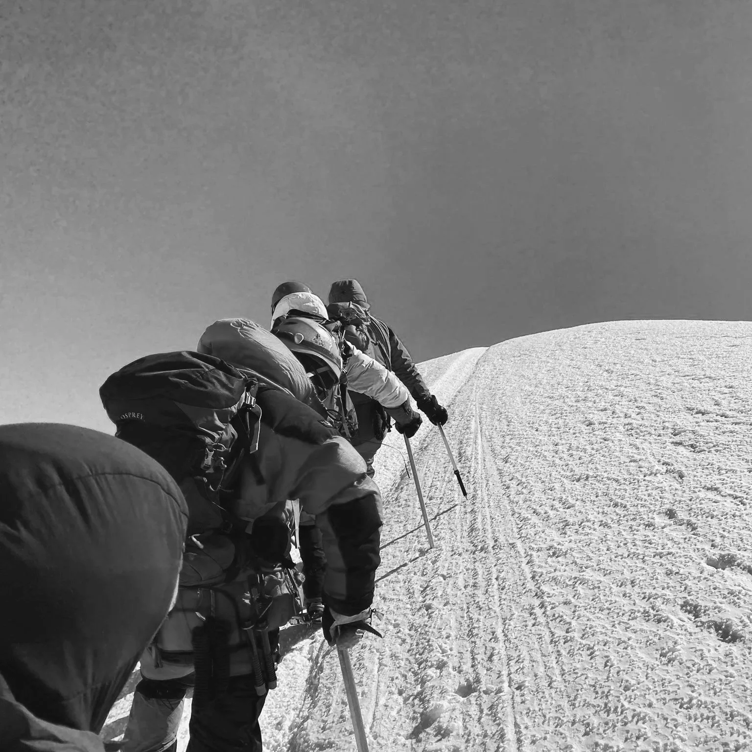 Group of four hikers wearing winter gear hiking up a snowy mountain slope.