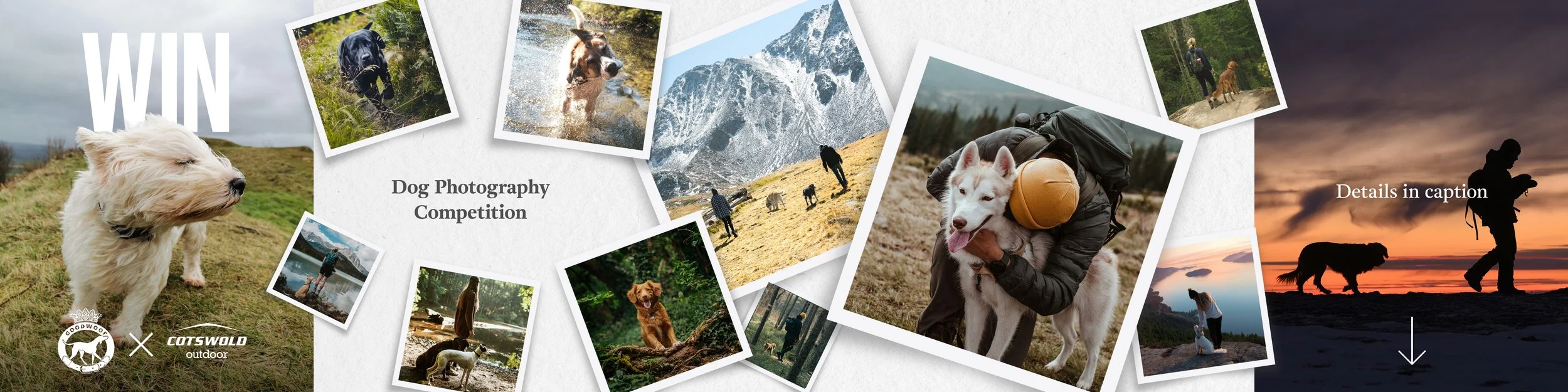 Collage of outdoor scenes and dogs, promoting a dog photography competition with text 'WIN', 'Dog Photography Competition', and 'Details in caption'.