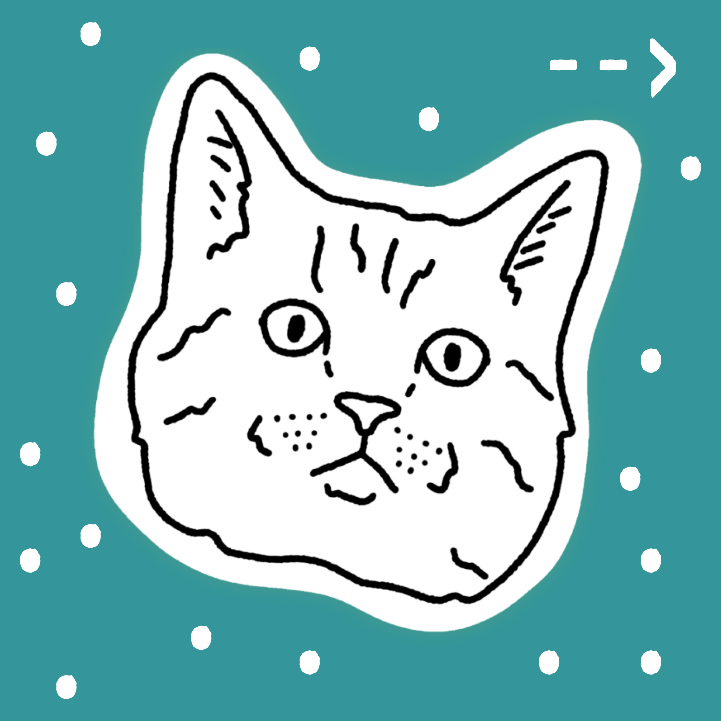 B9D3DE10-480F-4BA3-9AF1-FFB3F7E091D9.png