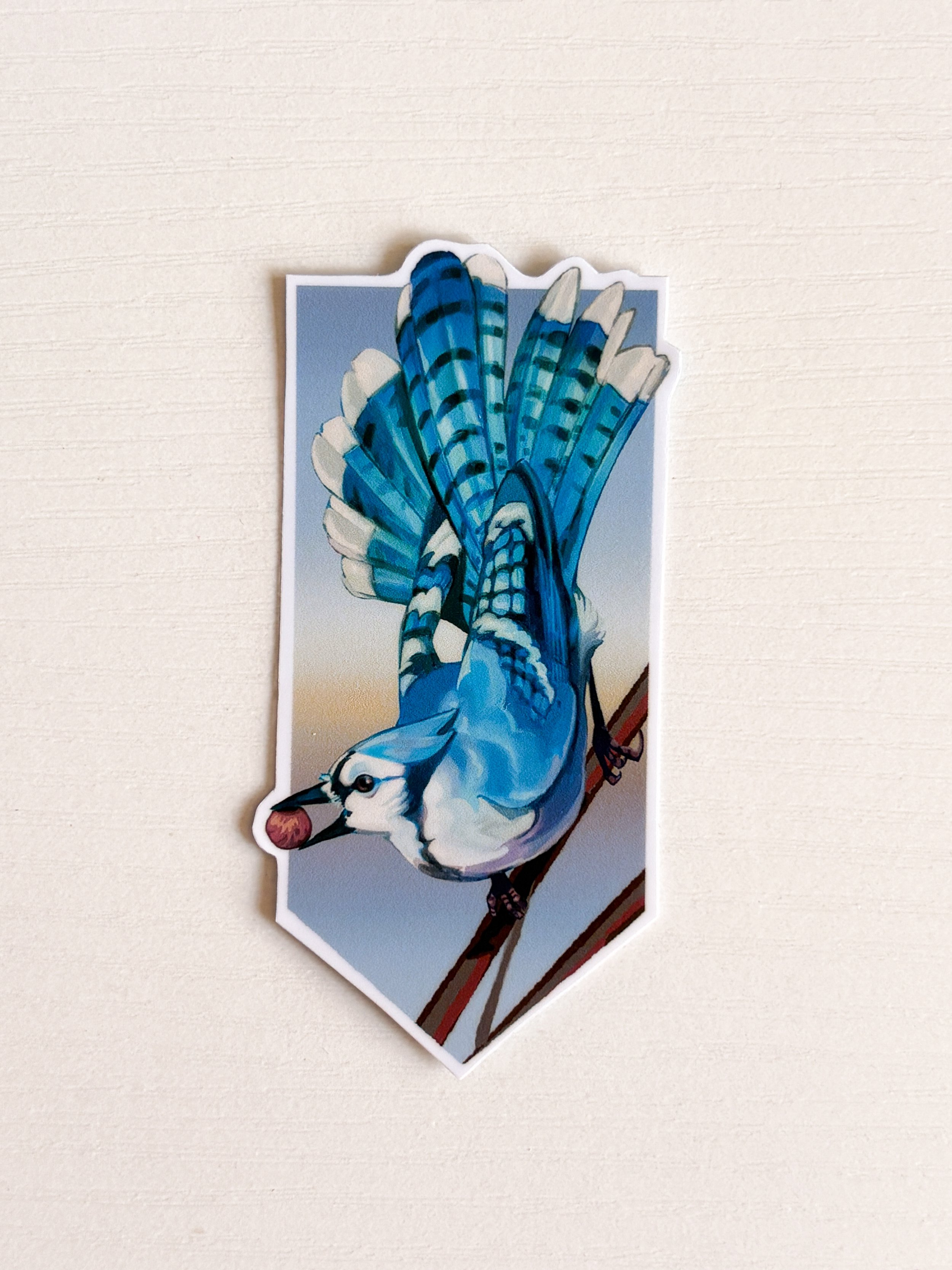 Blue Jay