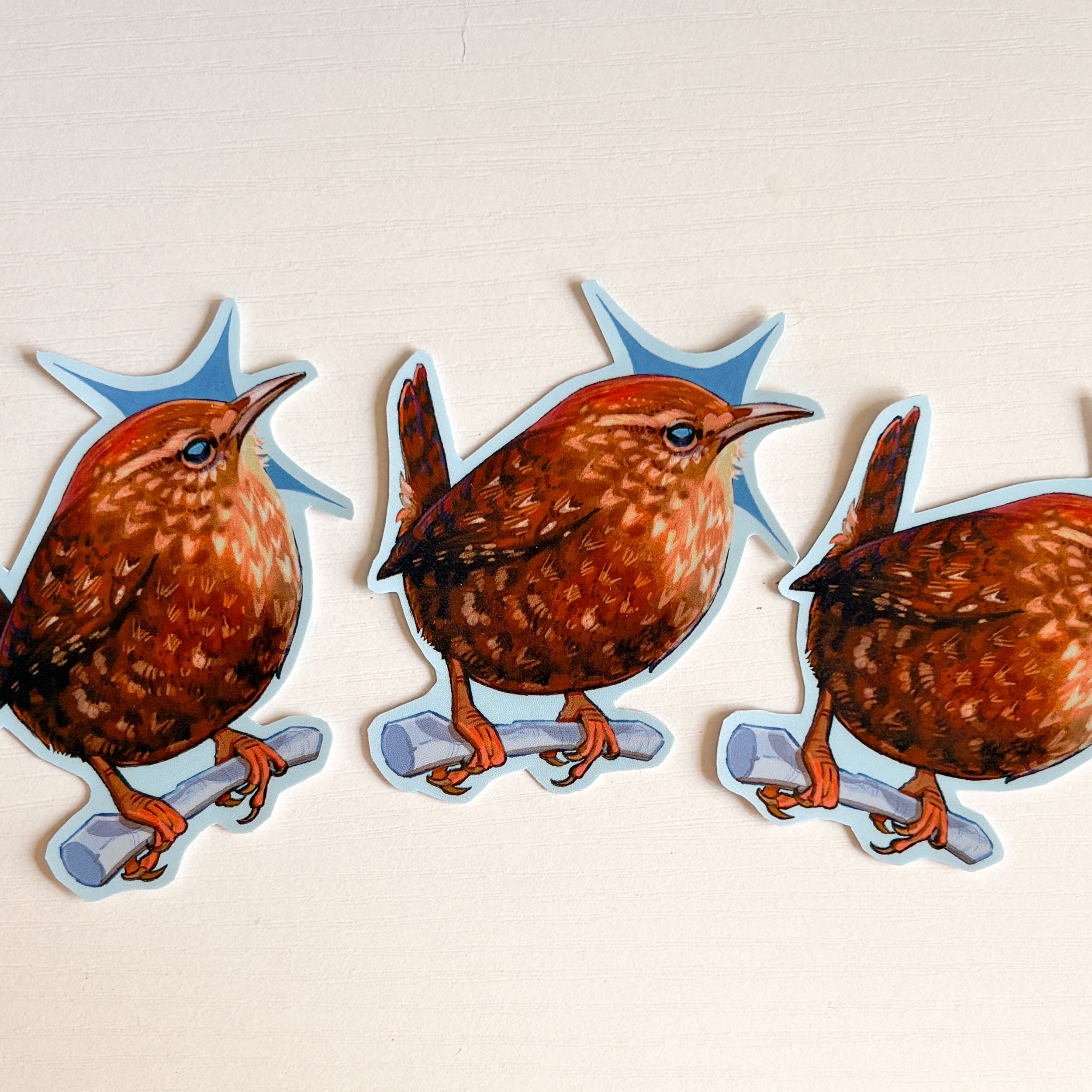 Winter Wren