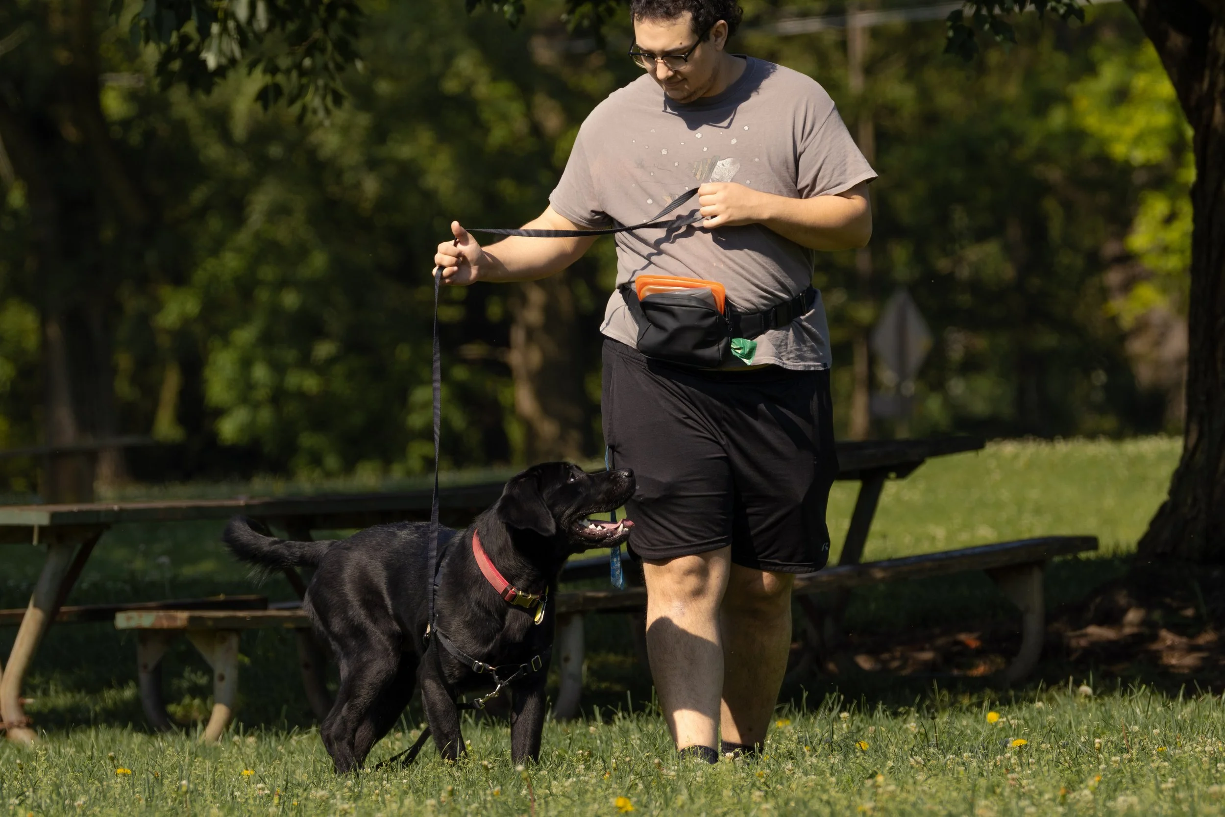 dog-18.jpg