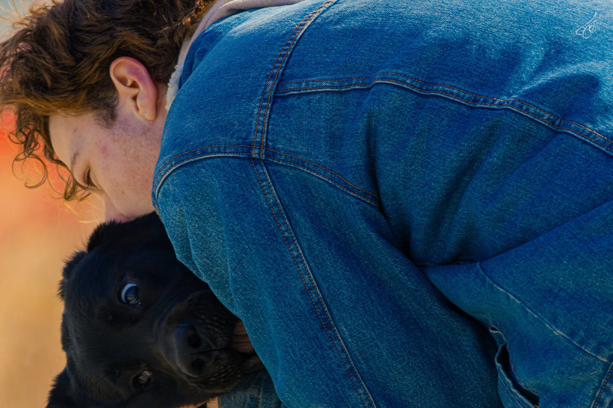 blu-035.jpg