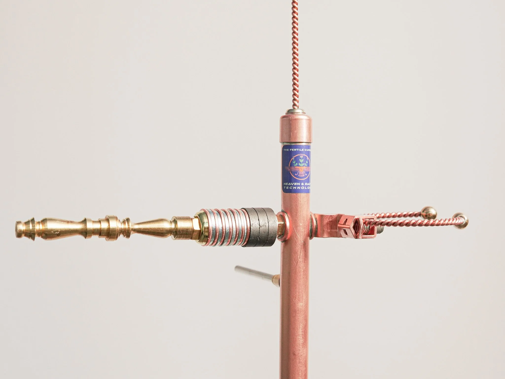 The fertile current electroculture antenna CW2+ plus vegetable farm.regenerative agriculture.copper science heaven and earth technology chris winters copper tensor tech..vegetables.jpg