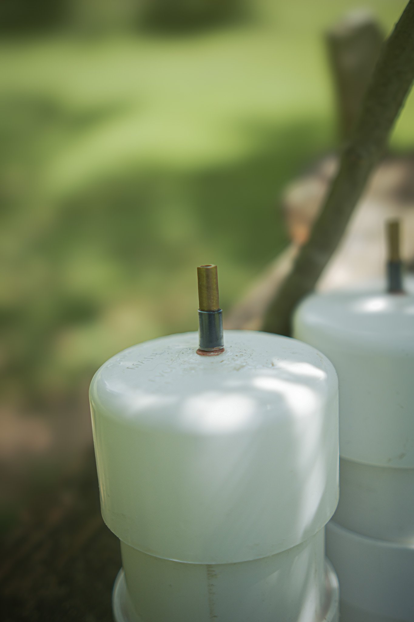 the fertile current patterns soil broadcaster electroculture quantum agriculture vegetable farm.jpg