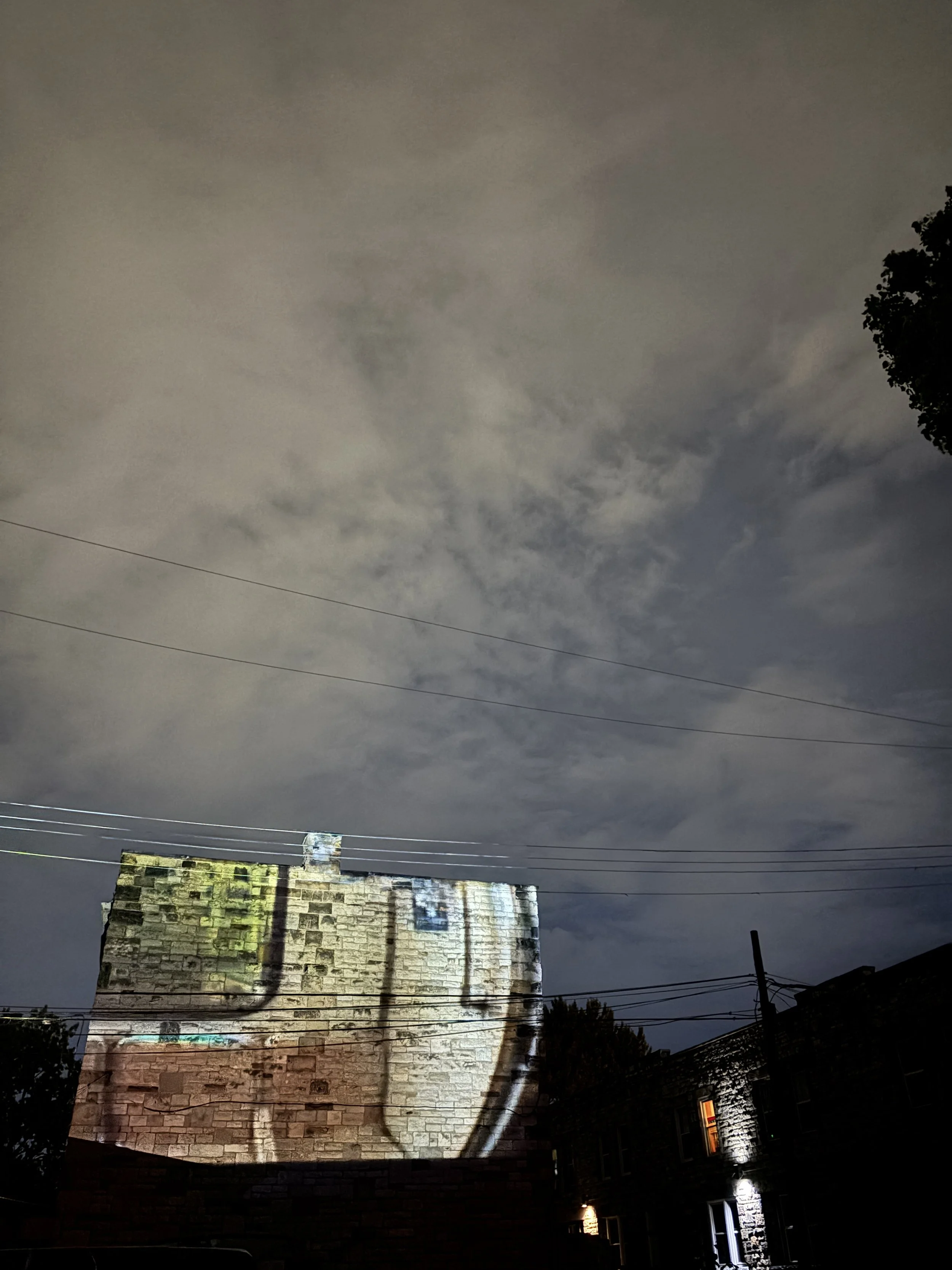 Pink Flamingo - Outdoor 03.JPG