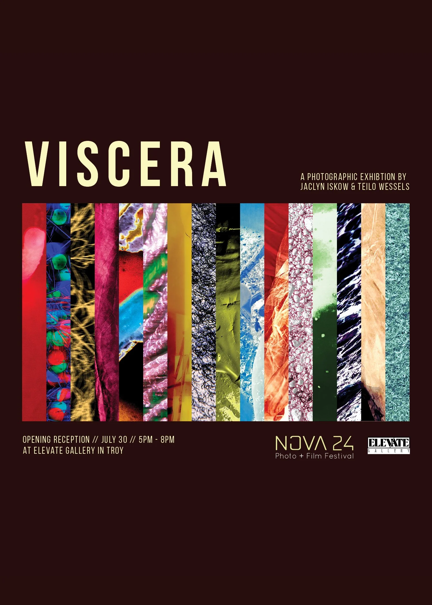 Viscera | Jaclyn Iskow &amp; Teilo Wessels Exhibition @ Elevate Gallery
