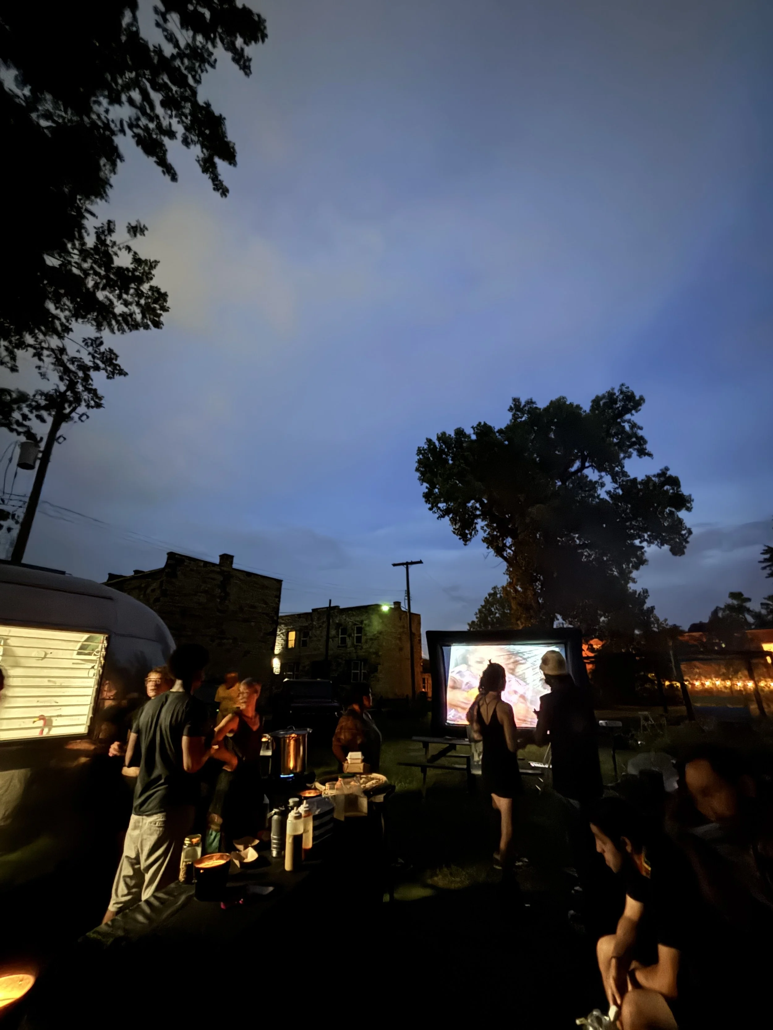 Pink Flamingo - Somethings Not Quite Right 04.JPG