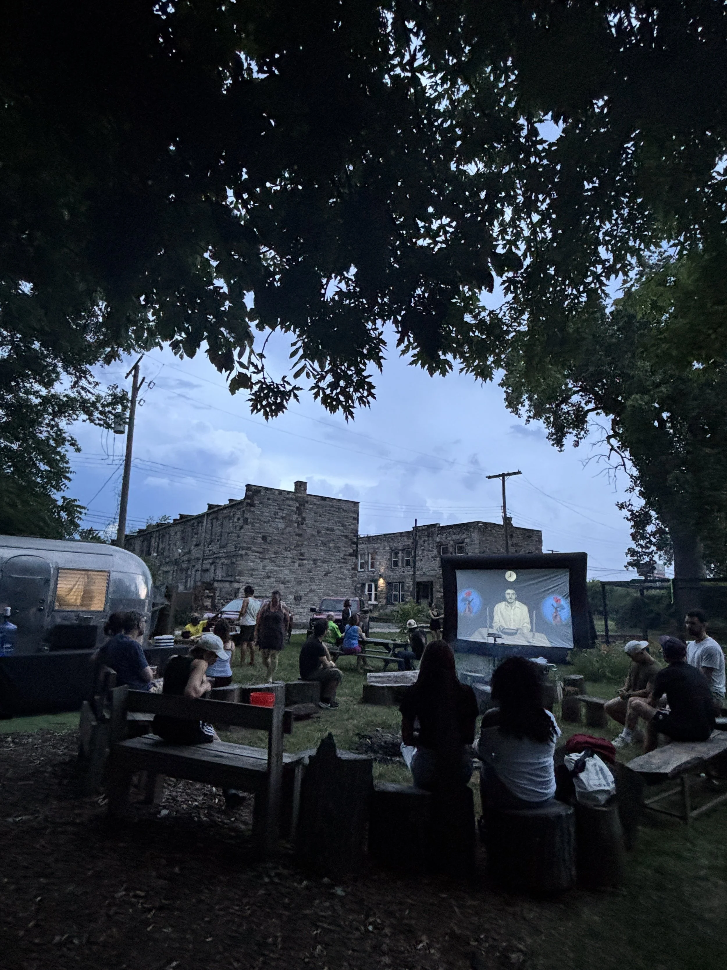 Pink Flamingo - Somethings Not Quite Right 01.JPG