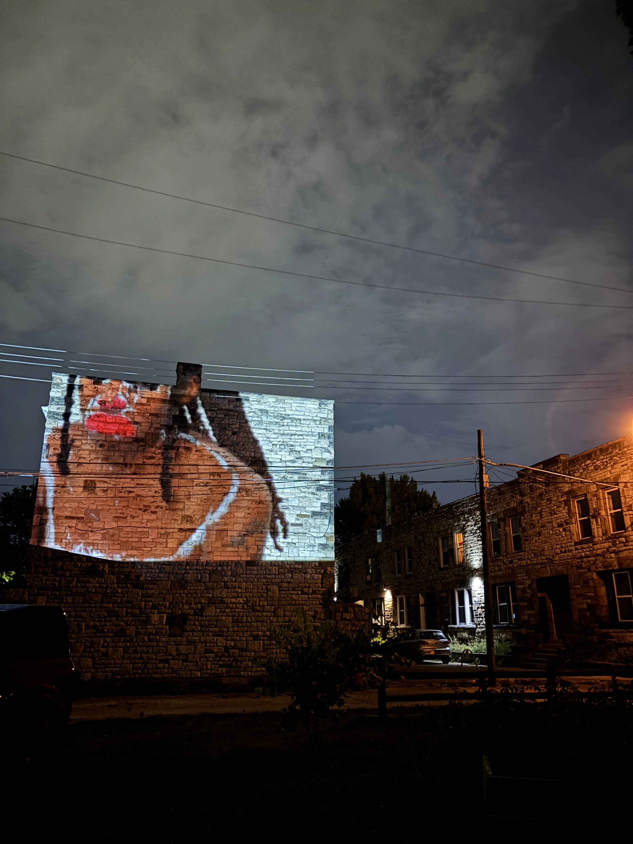 Pink Flamingo - Outdoor 02.JPG