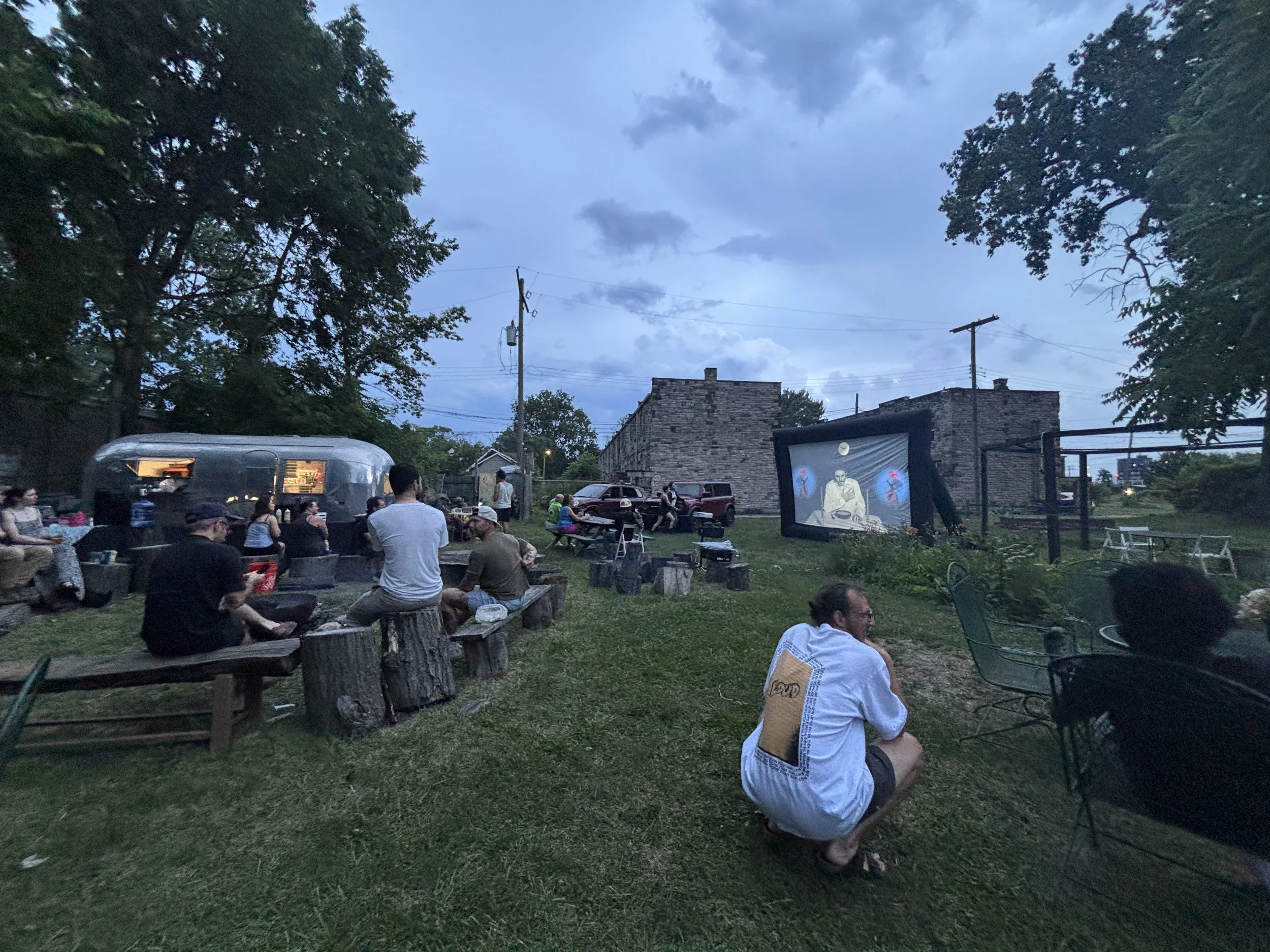 Pink Flamingo - Somethings Not Quite Right 02.JPG