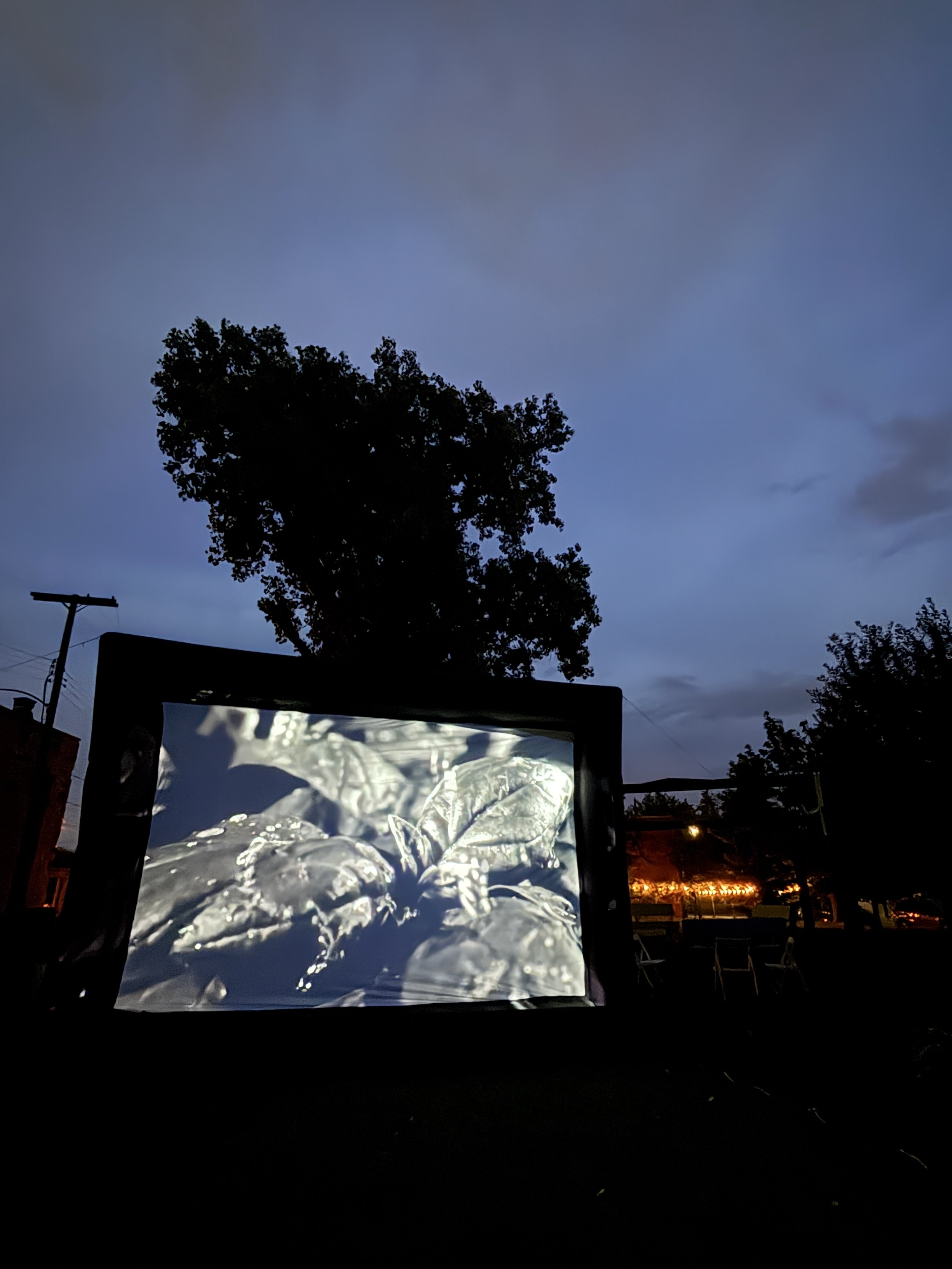 Pink Flamingo - Somethings Not Quite Right 03.JPG