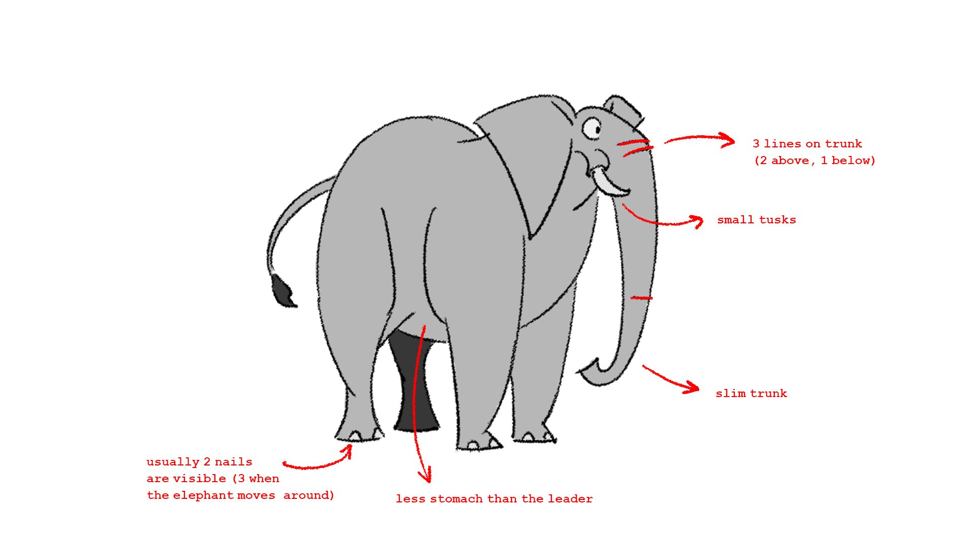 ctm notes on herd.jpg