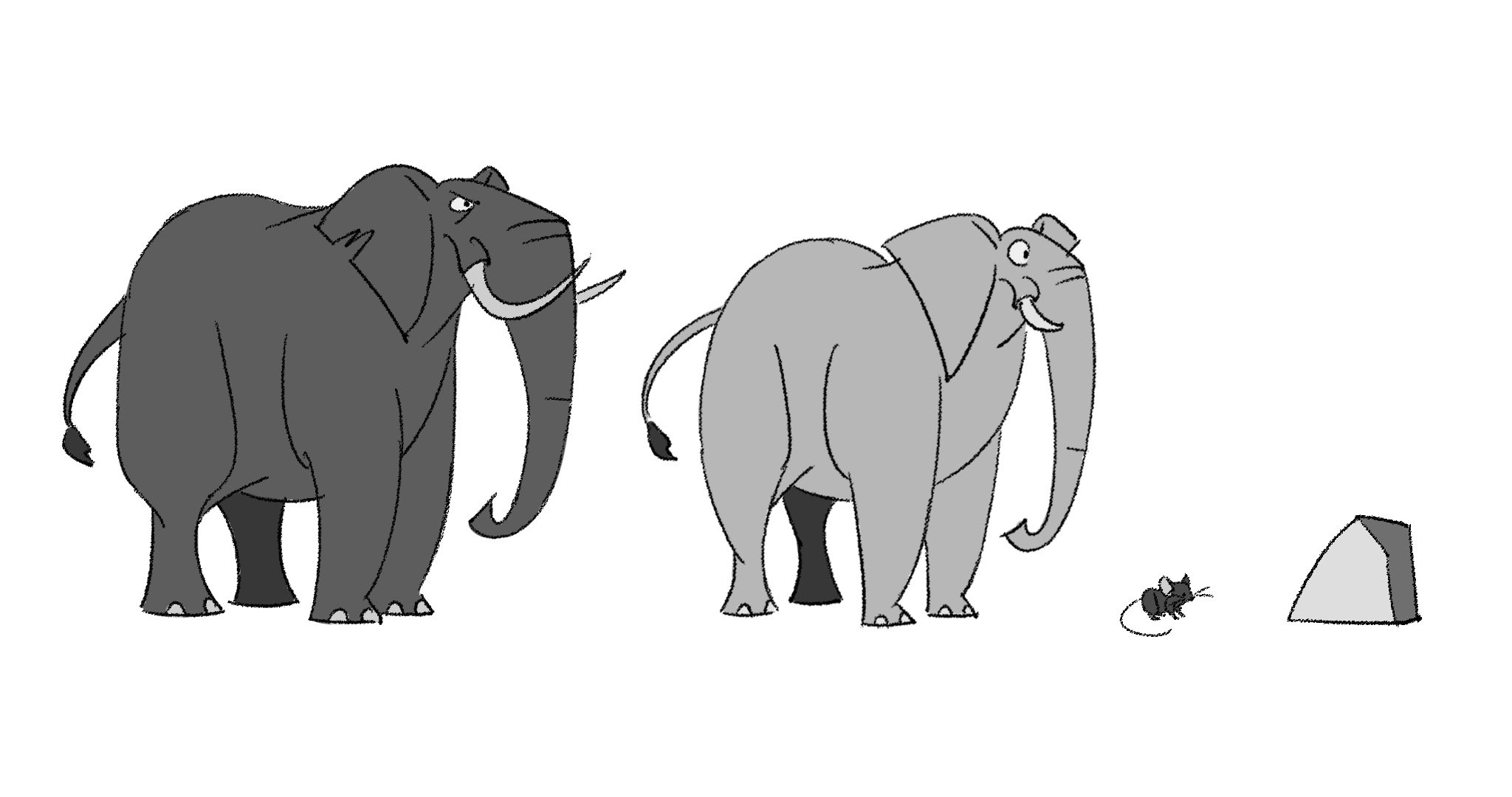 ctm size comparison all.jpg