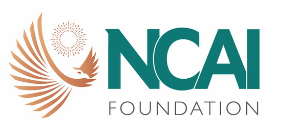 ncaif logo color.png