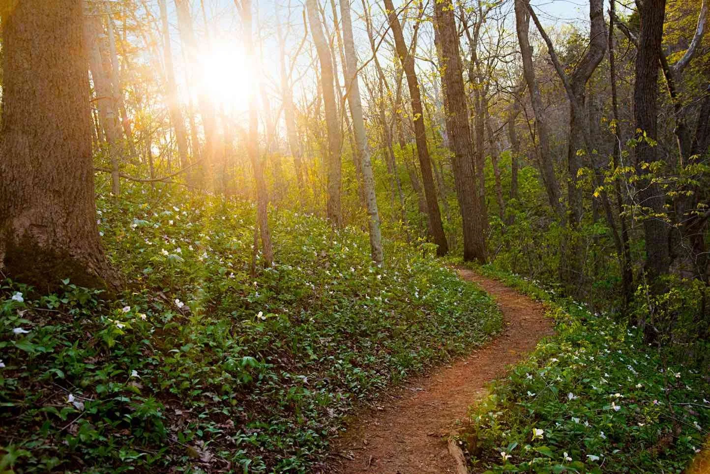 Hiking/Walking Group PLUS Group Garden Day!