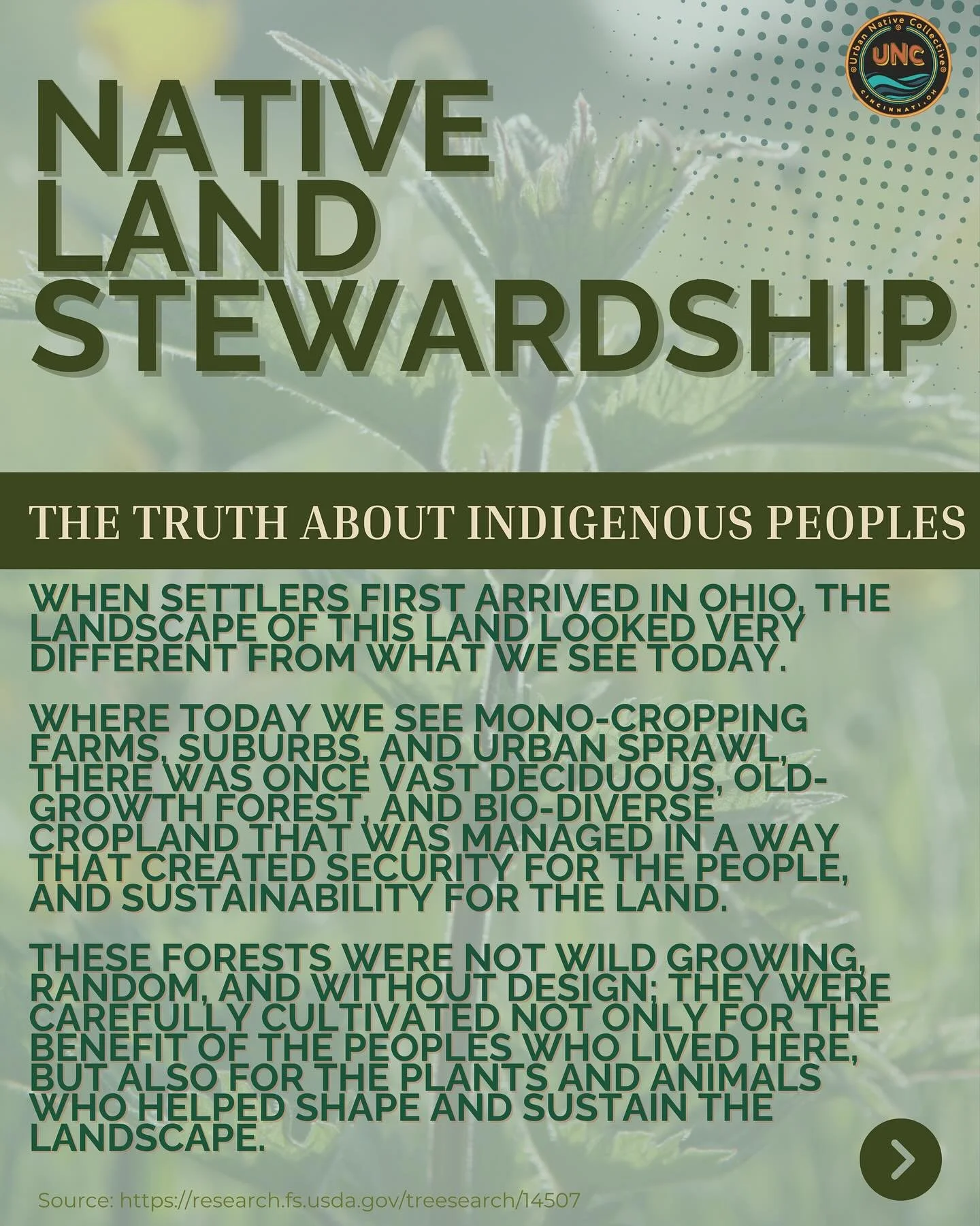 For week two of Native American Heritage Month, we are highlighting Native land stewardship in Ohio and beyond. 

Indigenous Peoples have cared for the land that we stand on since time immemorial. The plants, foods, and medicines that are native to t