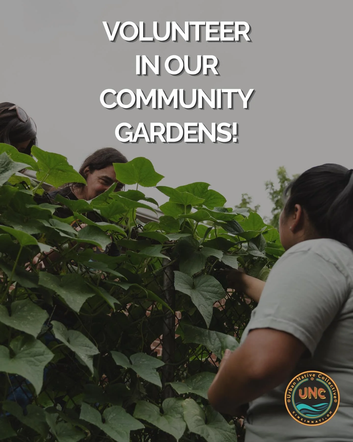 🌱 Calling all plant enthusiasts! 🌱 

We are looking for passionate individuals to help us steward our gardens this year. 🪏 

The land is not a commodity, it is a relative. 
Join us in caring for the sacred soil together! 

Follow the link in our b