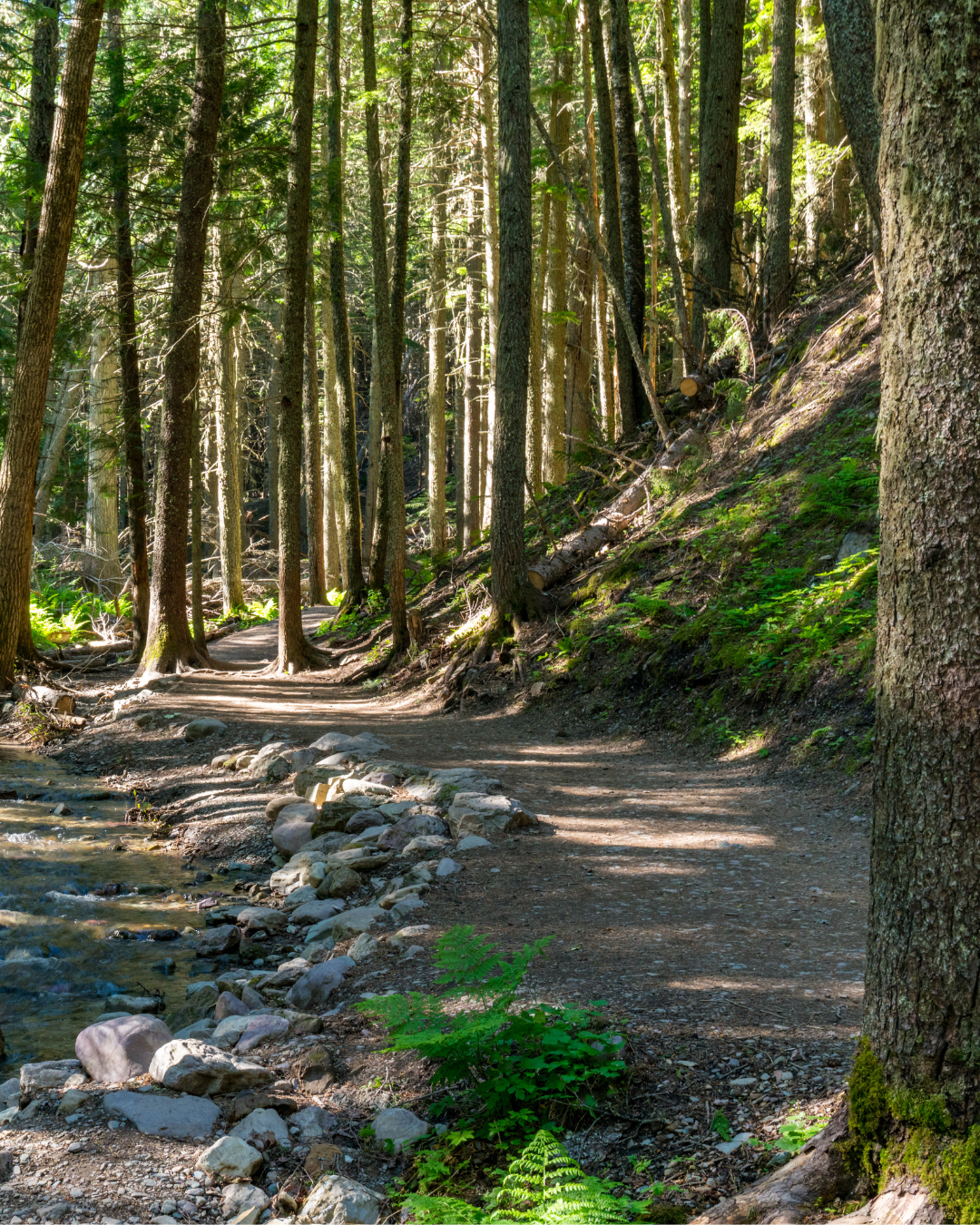 Hiking/Walking Group