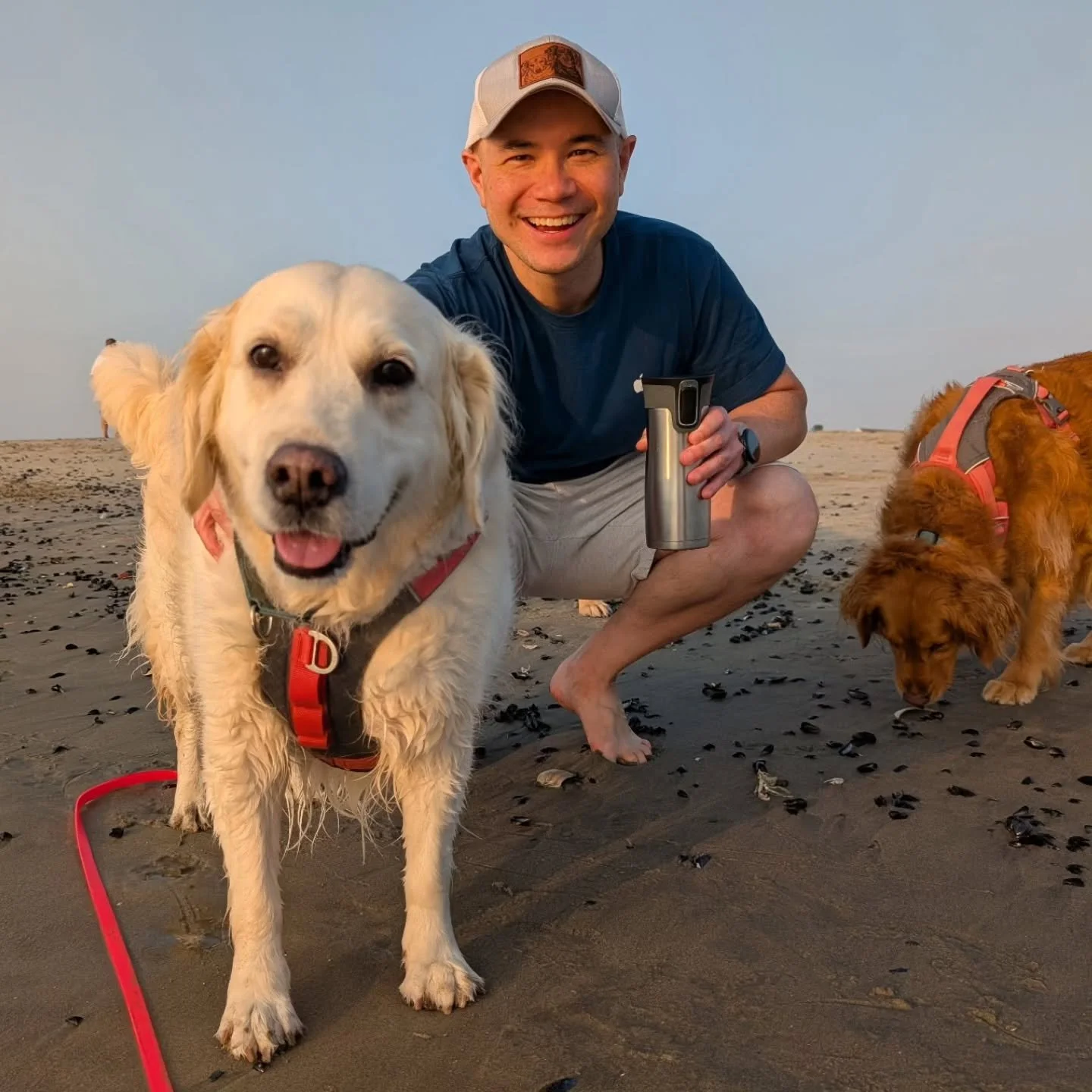 How vacation is going 😎 ☕ 🐾 🏖️ 

#dogdadmaestro #dogdad #conductor #conductorlife #dogsofinstagram #goldenretriever #goldenretrieversofinstagram #vacation