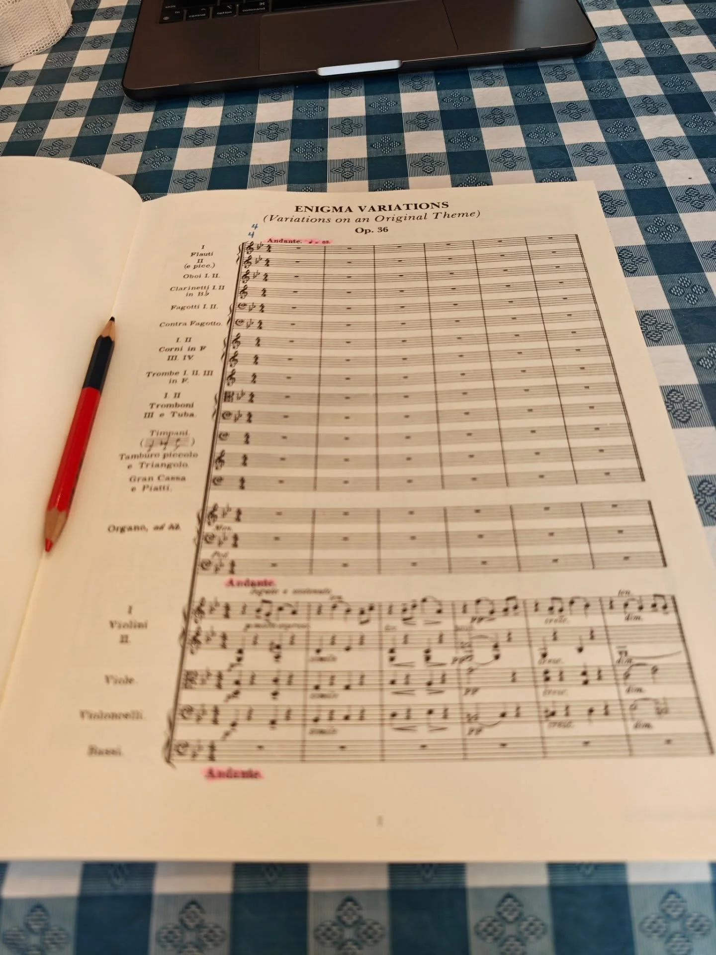 @uncsa @uncsamusic 

#dogdadmaestro #conductor #conductorlife #classicalmusic #symphony #orchestra #elgar #scorestudy