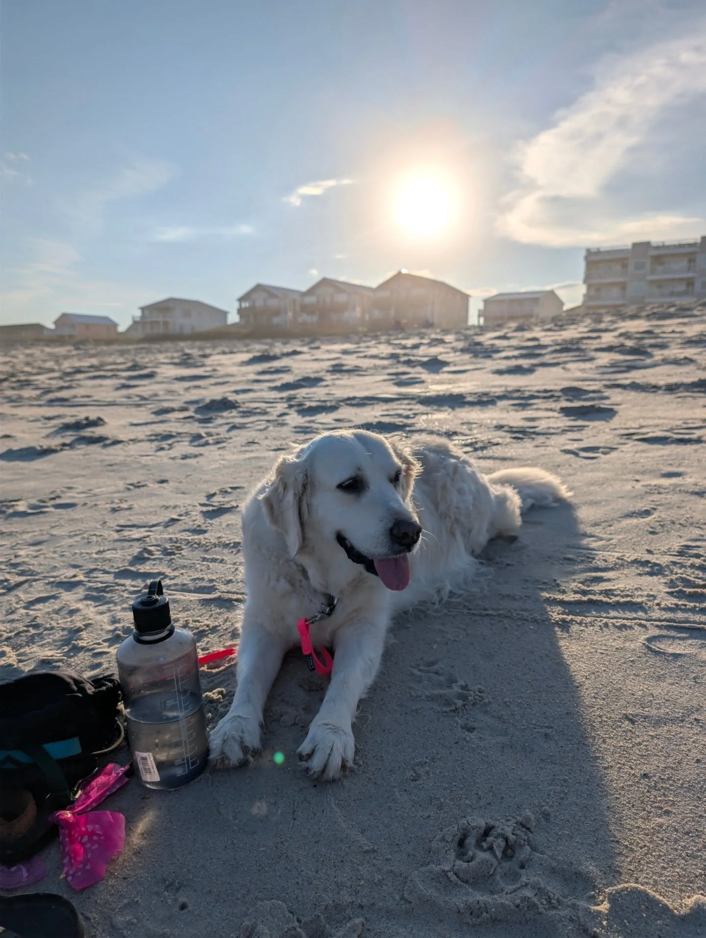 Spending a few days at Carolina Beach with the girls. Dianna and I have literally never taken a vacation, just the two of us, in all the years we've been together. 🤯

For two workaholics to find a few days to do... slightly less work, elsewhere... i