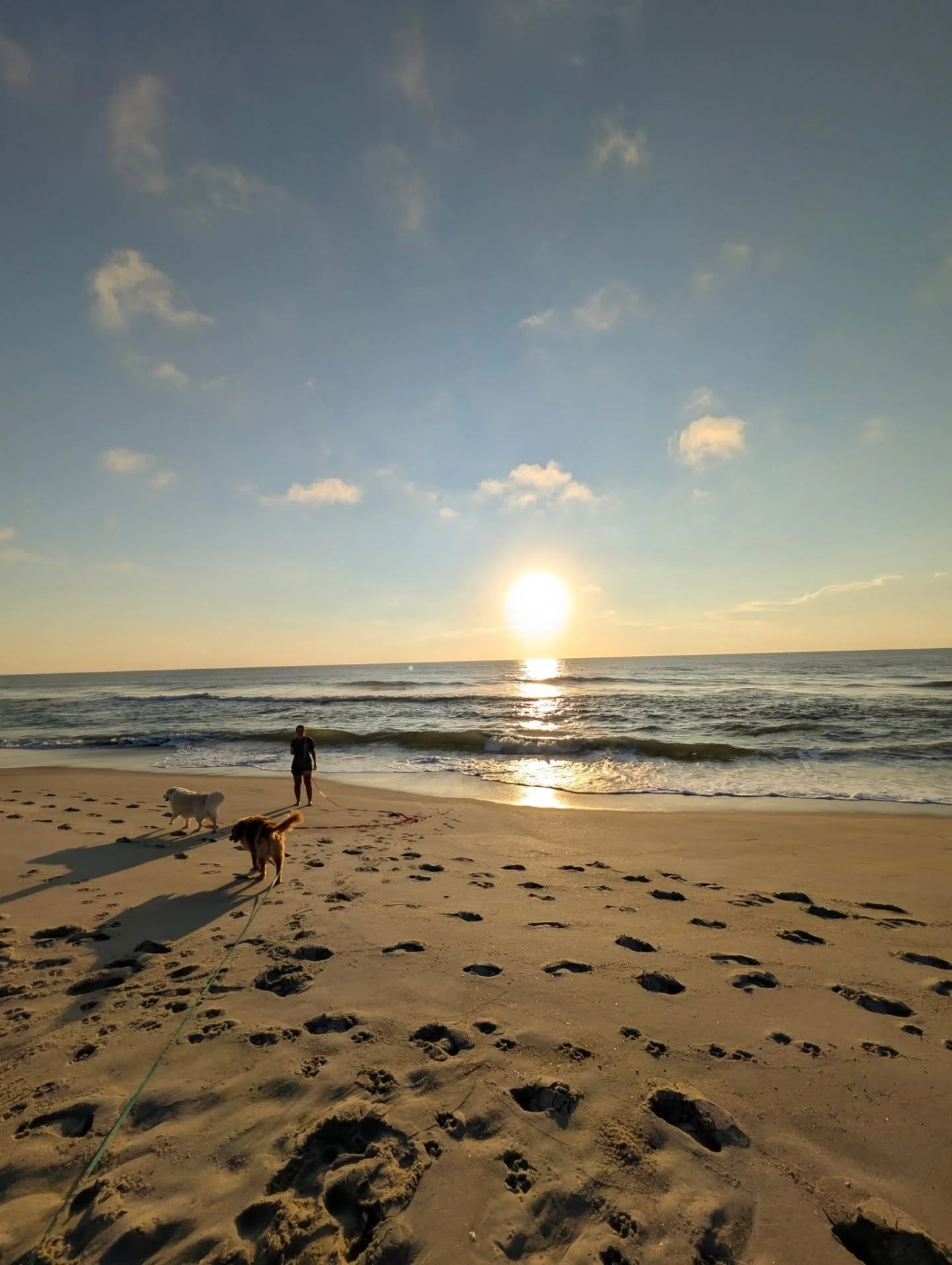 Sunrise 🌅 ✅ 
Beach 🏖️ ✅ 
Dogs 🐾 ✅ 
Fried chicken biscuit 🐔 ✅ 

#dogdadmaestro #dogparents #ourkidshavepaws #goldenretriever #goldenretrieversofinstagram #dogs #dogsofinstagram #vacation #nc 

@sloppy_paws @thesoutherly