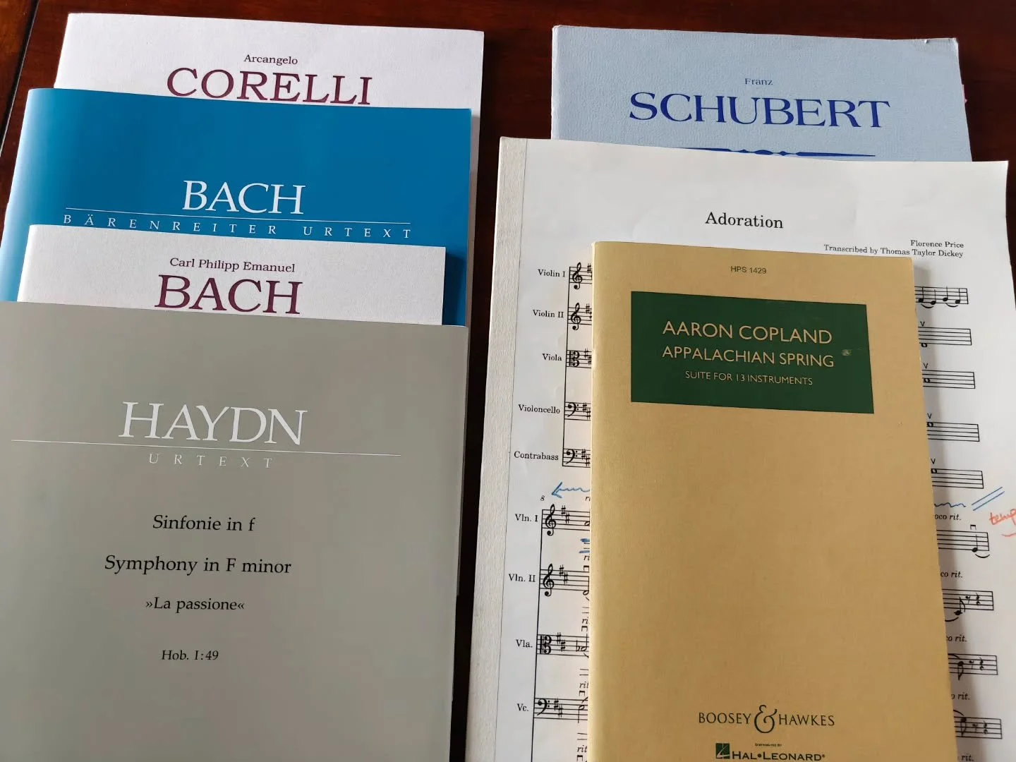 How lucky am I that I get to spend the next two weeks making incredible music with two of my favorite orchestras?! 🥰

@oakridgemusic @uncsamusic 

#dogdadmaestro #conductor #conductorlife #classicalmusic #musiceducation