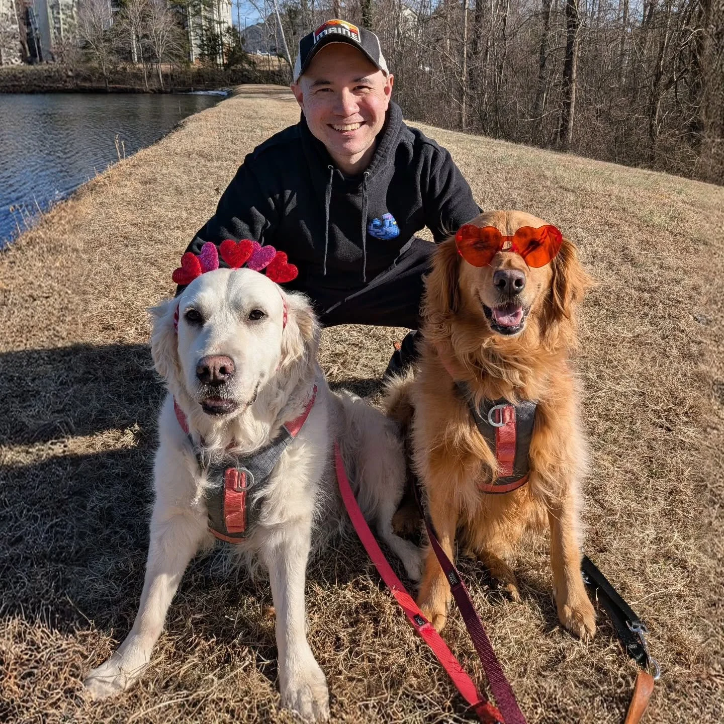 My Valentines 🥰

#dogdadmaestro #dogdad #goldenretrievers #goldenretrieversofinstagram #valentinesday