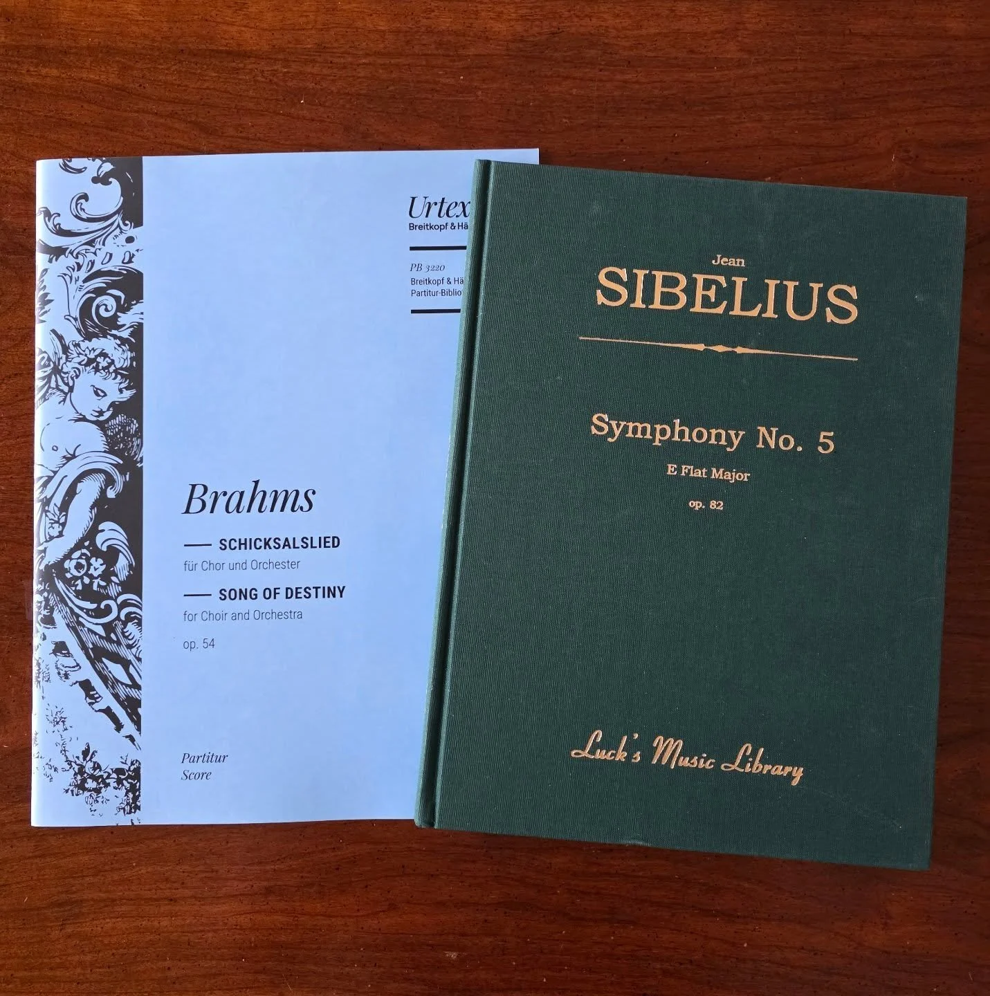 As I look forward to performing these two favorites with the Great Falls Symphony next month, I am also reflecting on a whirlwind February that would not have been possible without some truly incredible people. 

Hunter, Frances, Jungho, and Katie gr