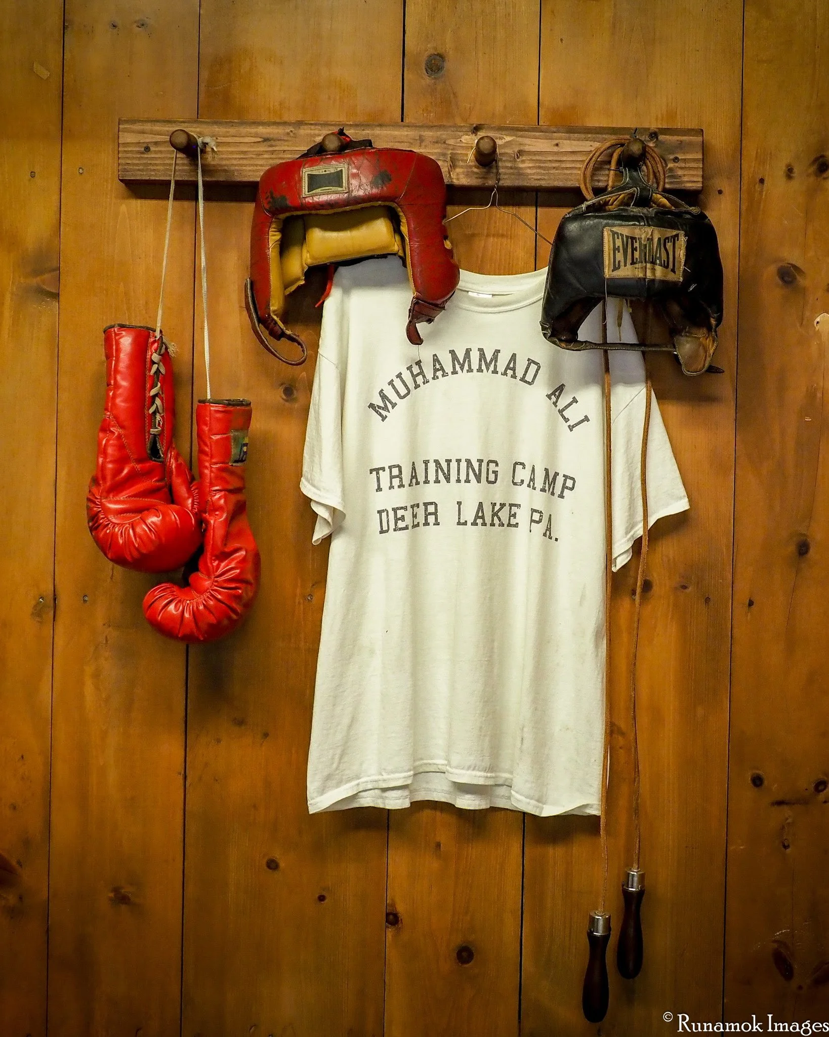 Ali Training Camp