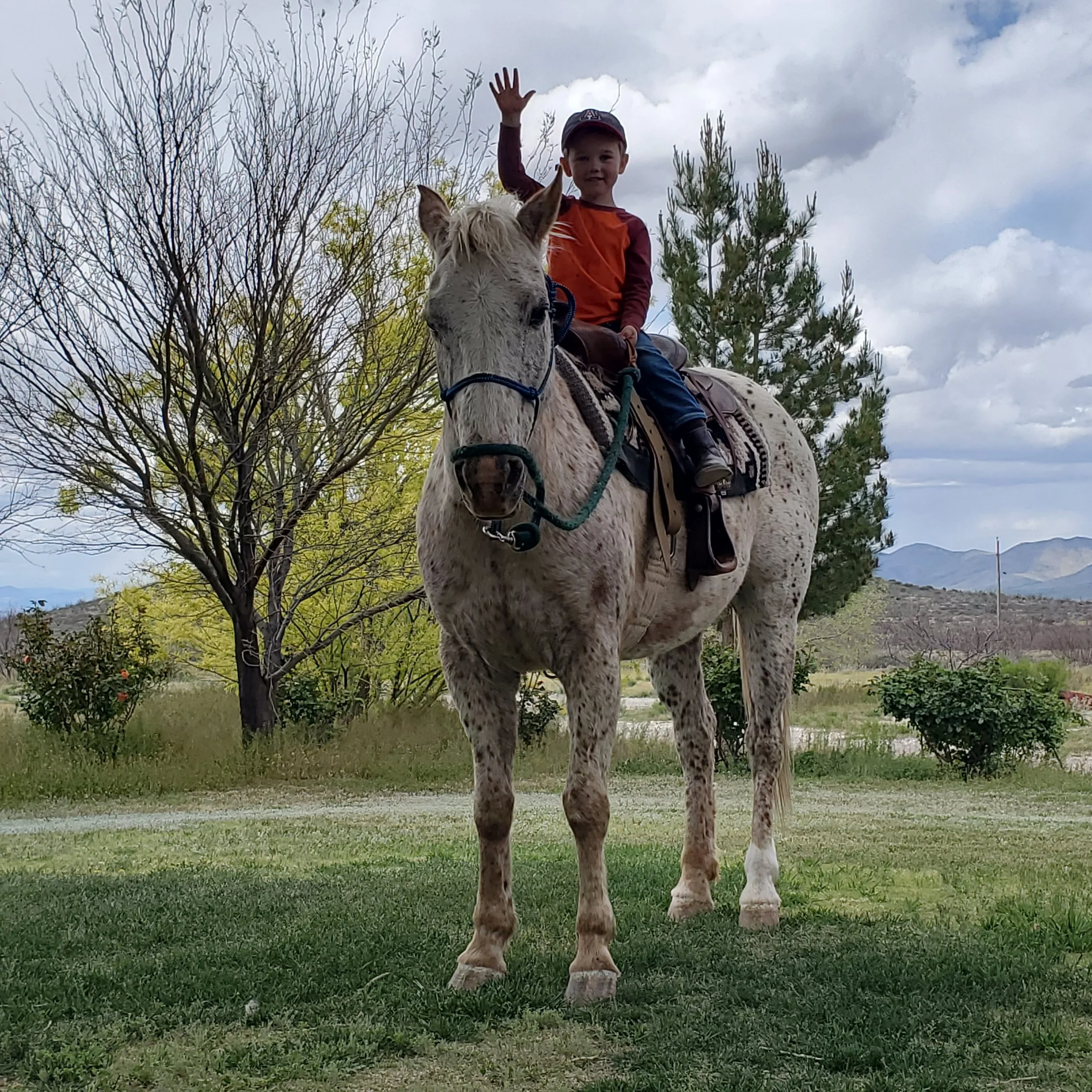 Our Story | Family Owned & Operated — Bar X Bar Beef