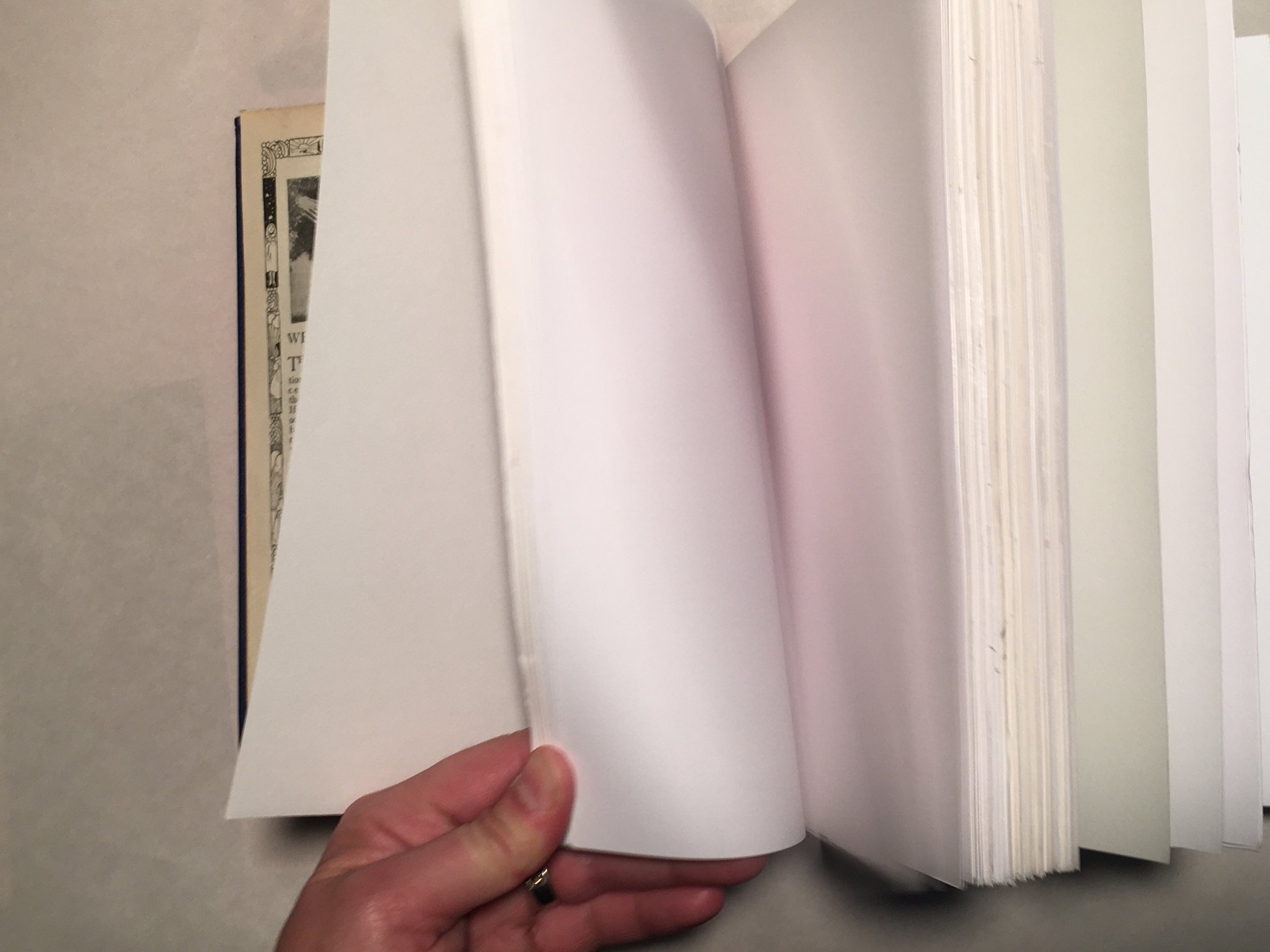 Book of Knowledge Empty Pages.JPG