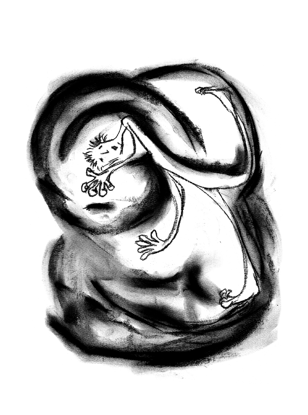 From Estrangement to Reconciliation, the Experience of Wholeness (2024)