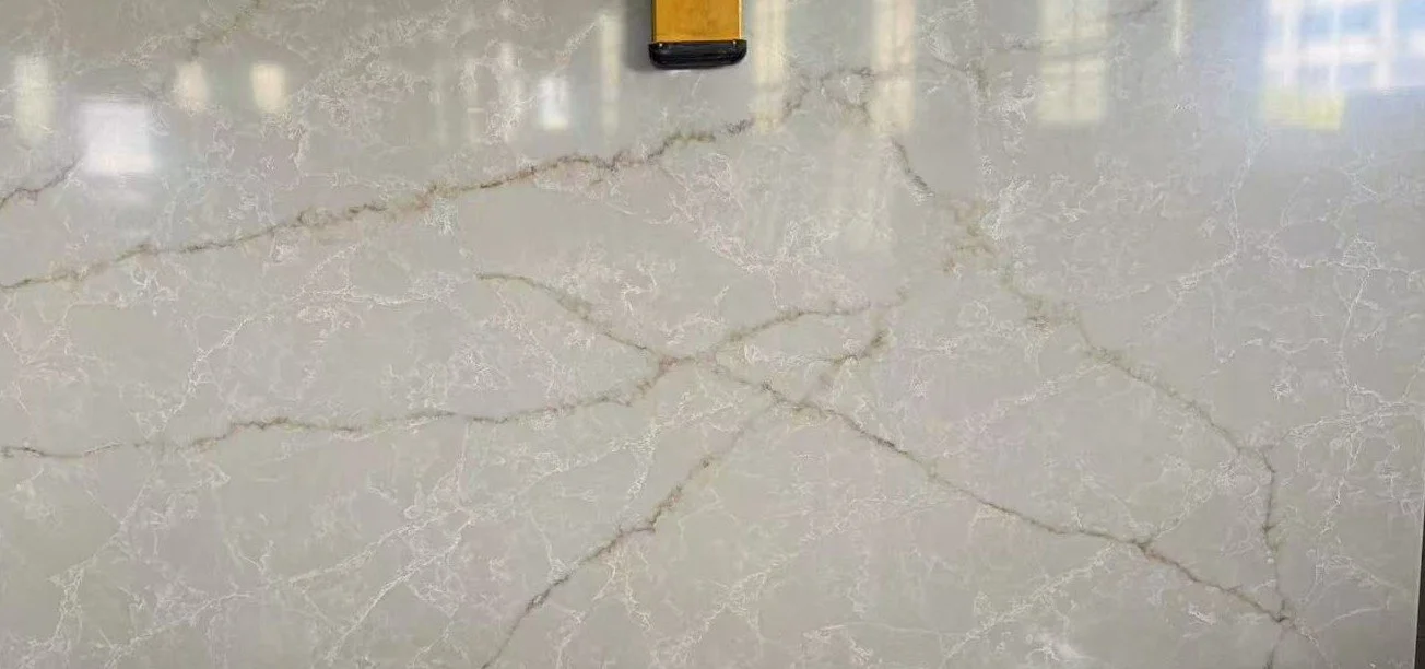 QL5008 Ivory Ice.jpg