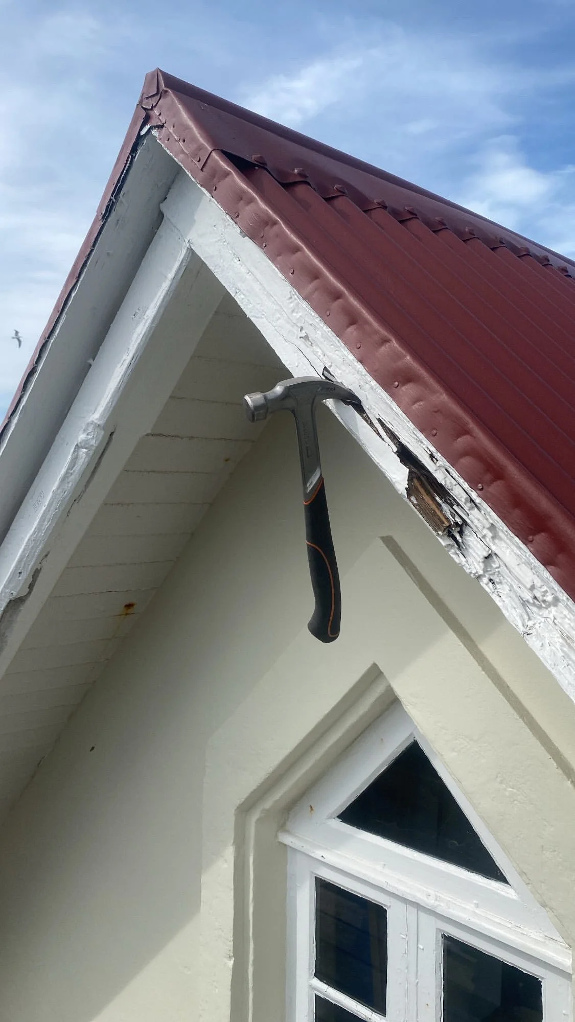 image_6483441 (1).JPG