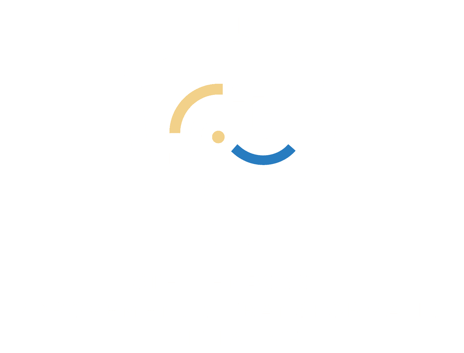 Stellenbosch Improvement Initiative