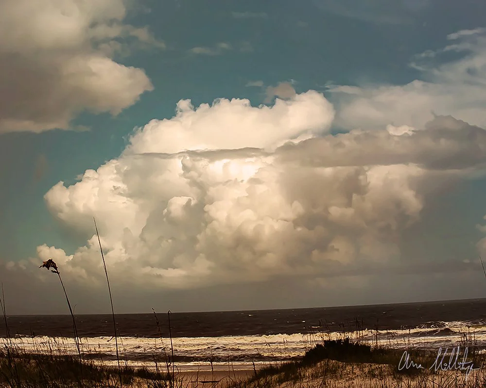 ANGERED, FLORIDA HURRICANE