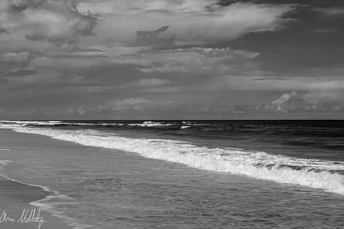 DISPEL, FLORIDA COASTLINE