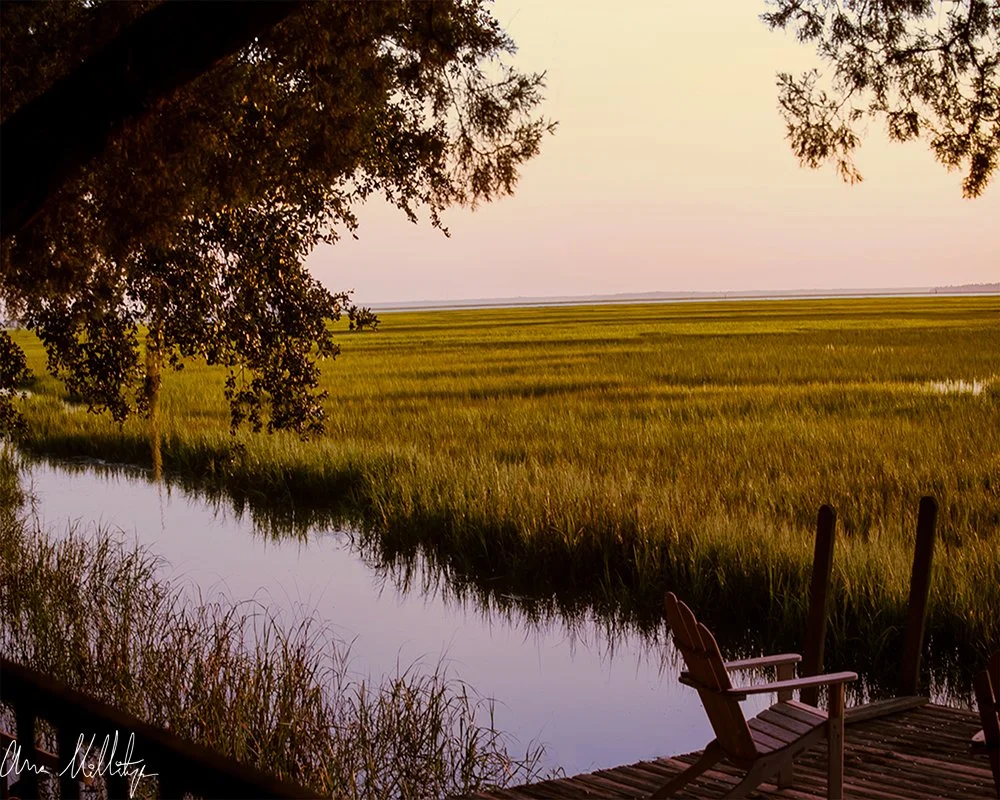 WATER DOWN, THE MARSHLANDS