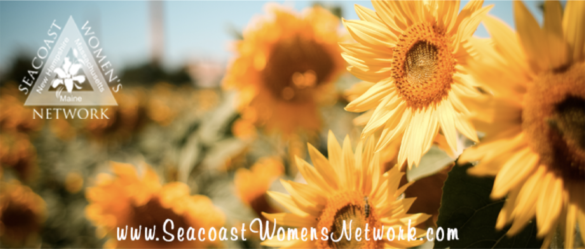 Women in Business- What you need to know Legally, but never asked