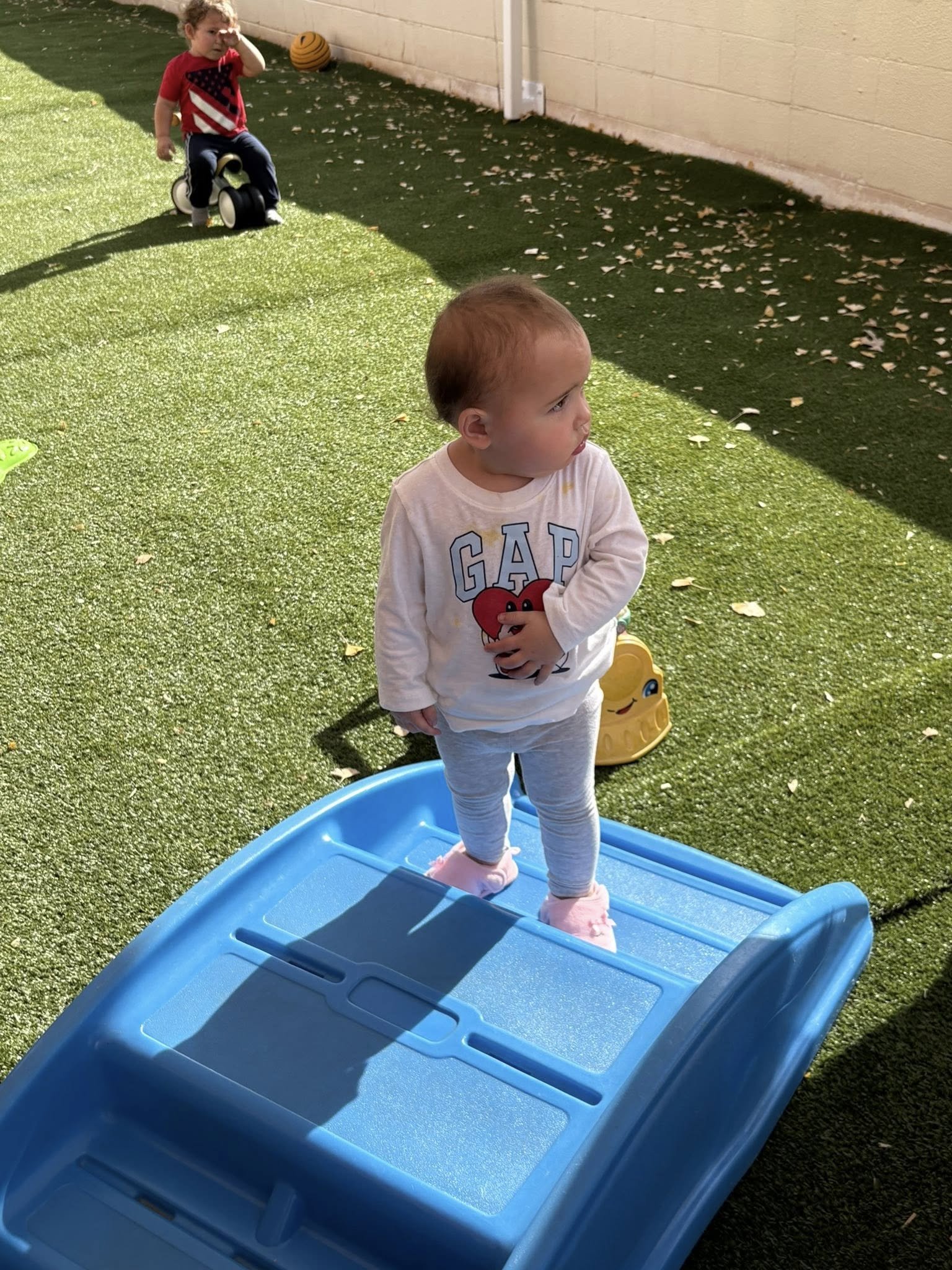 Harrison toddler girl.jpg