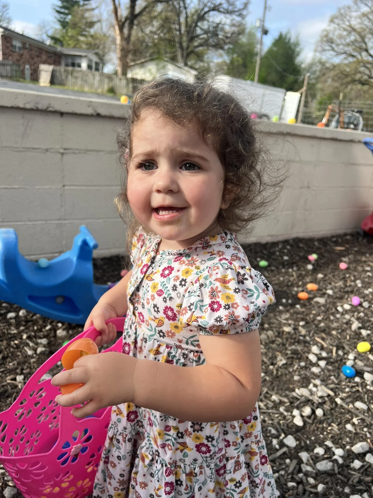 HSN April 2026  little girl at Easter egg hunt.jpg
