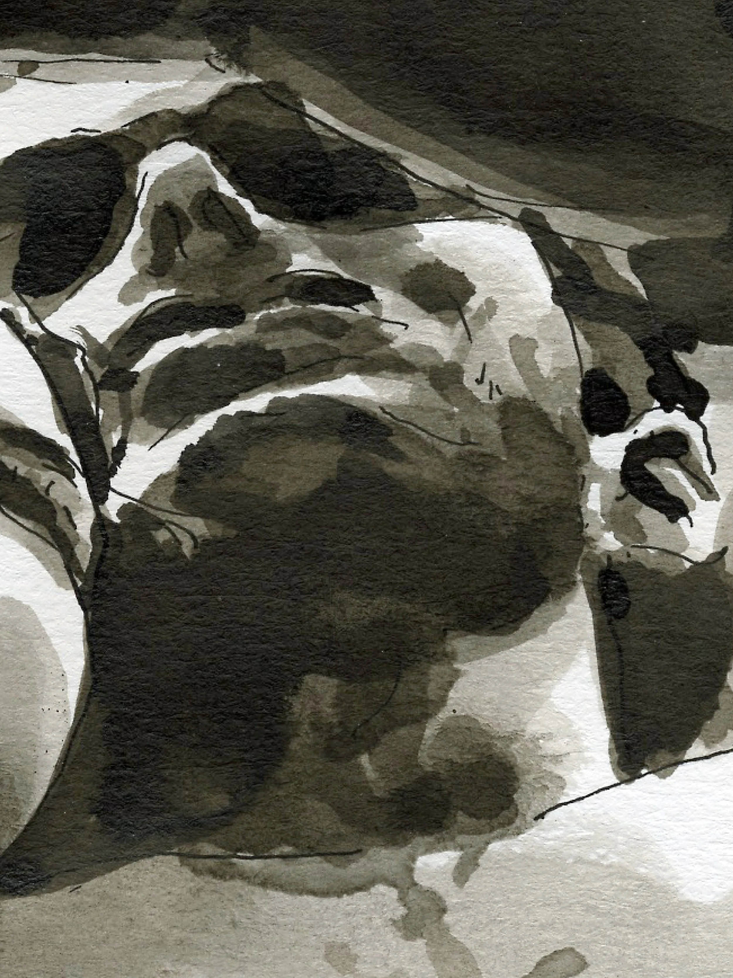 Le petit livre rouge/detail2.jpg