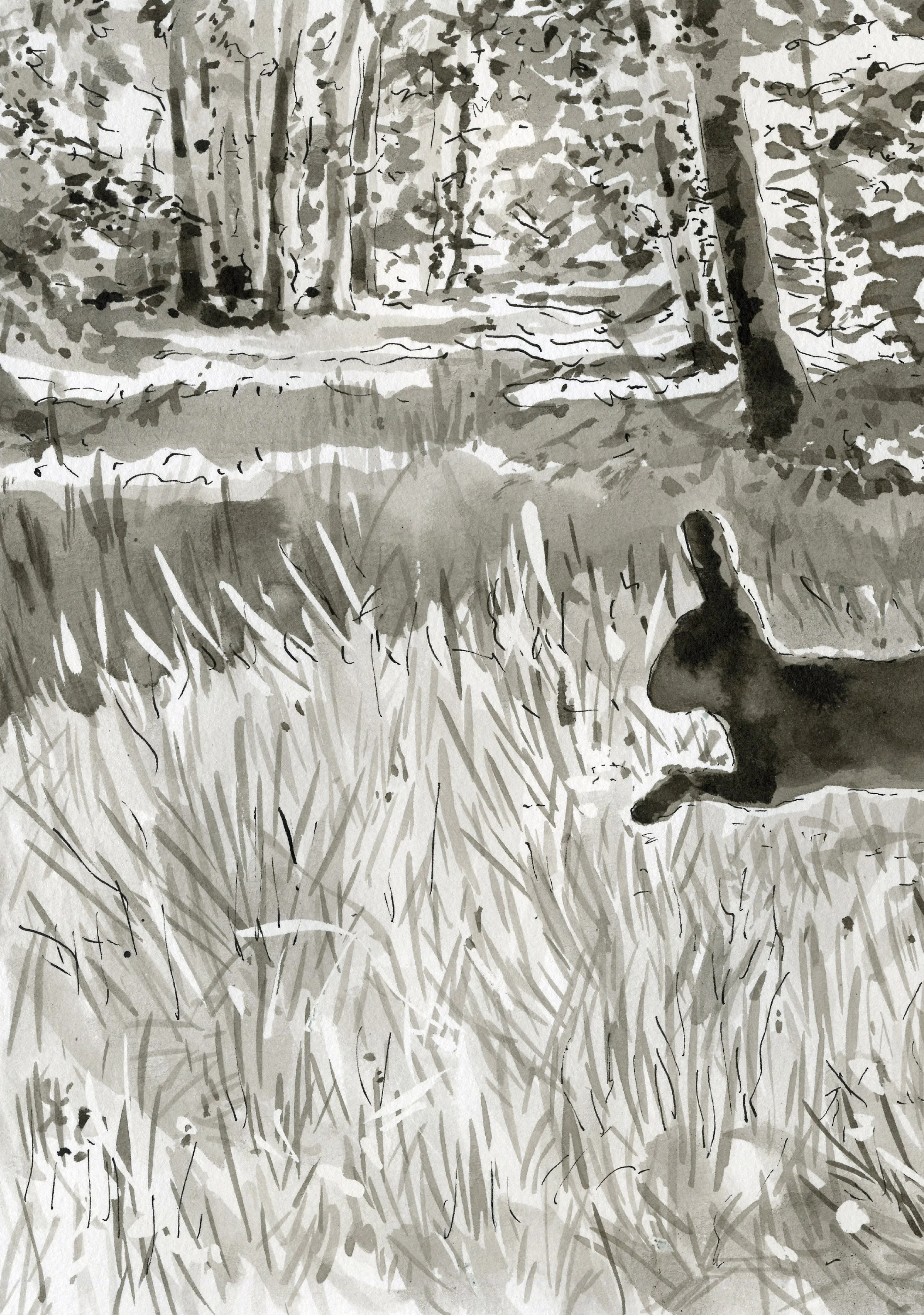 Rabbit's fear.jpg
