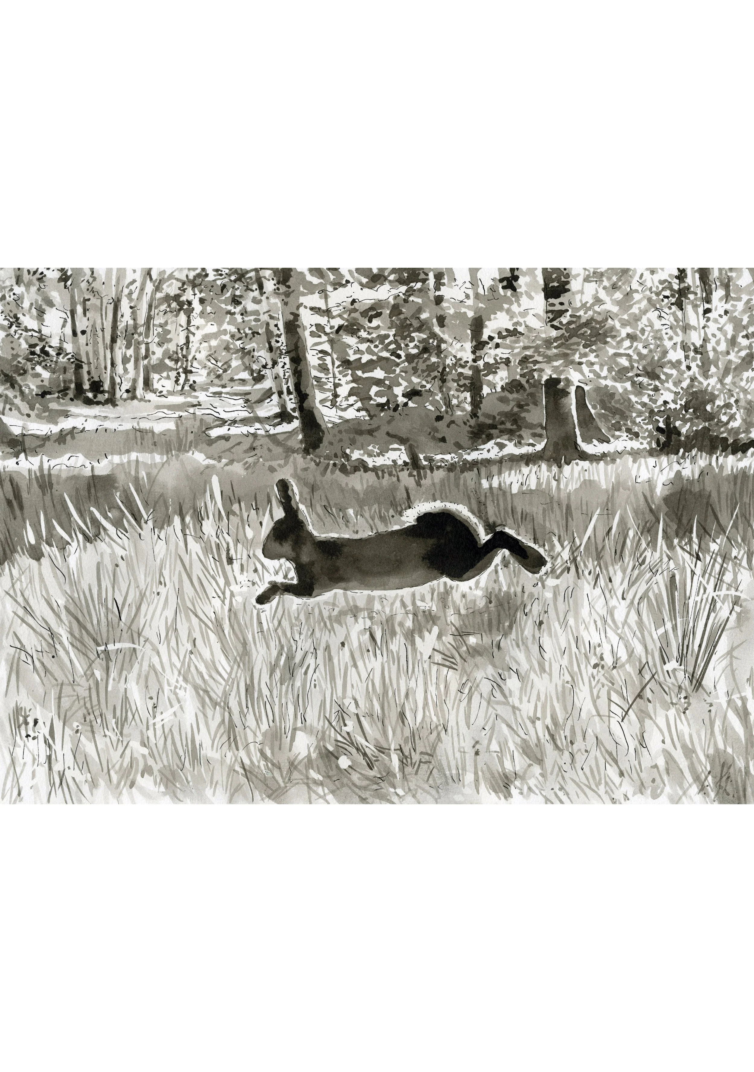 Rabbit's fear