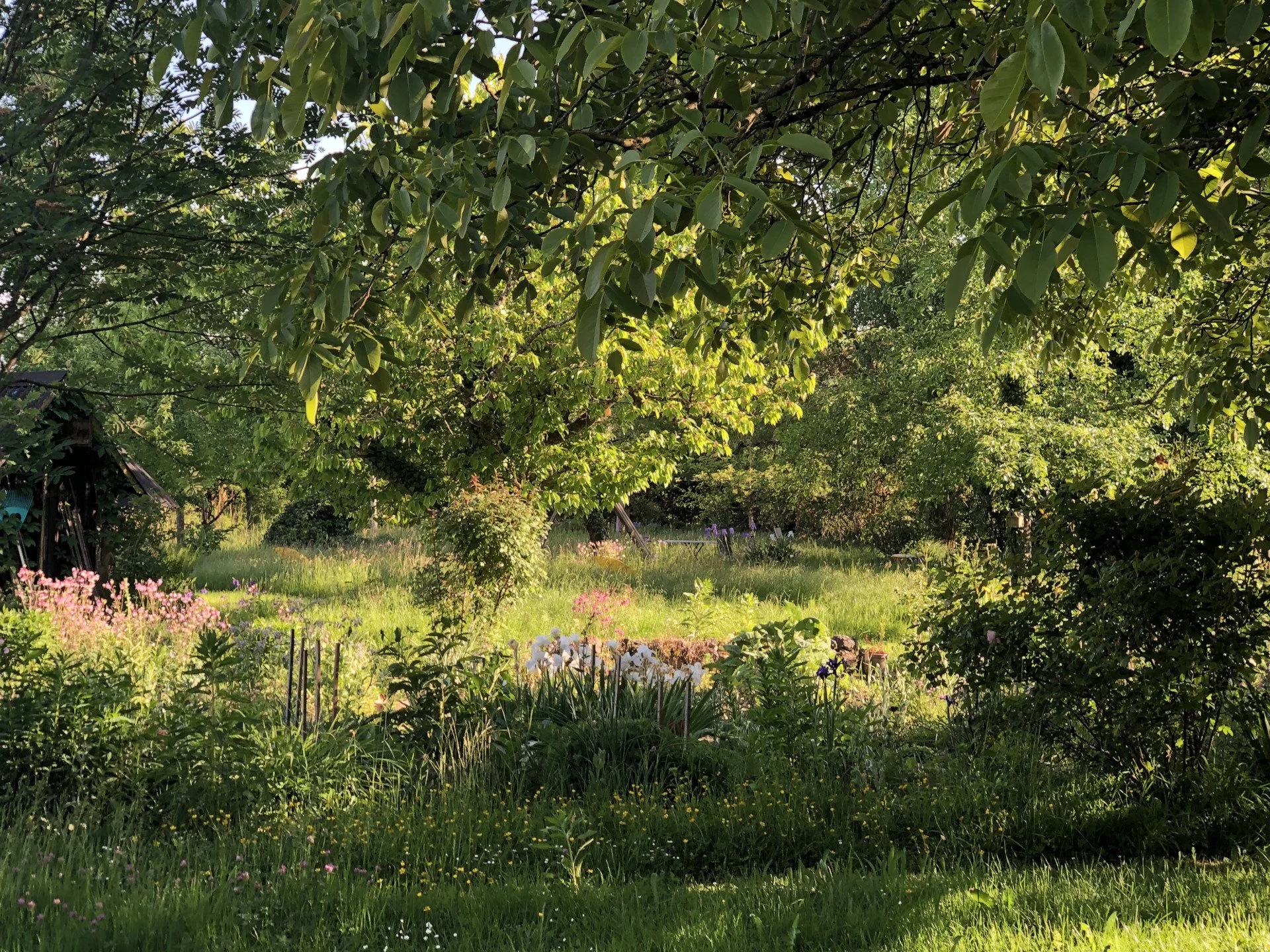 Artenreichtum im Garten