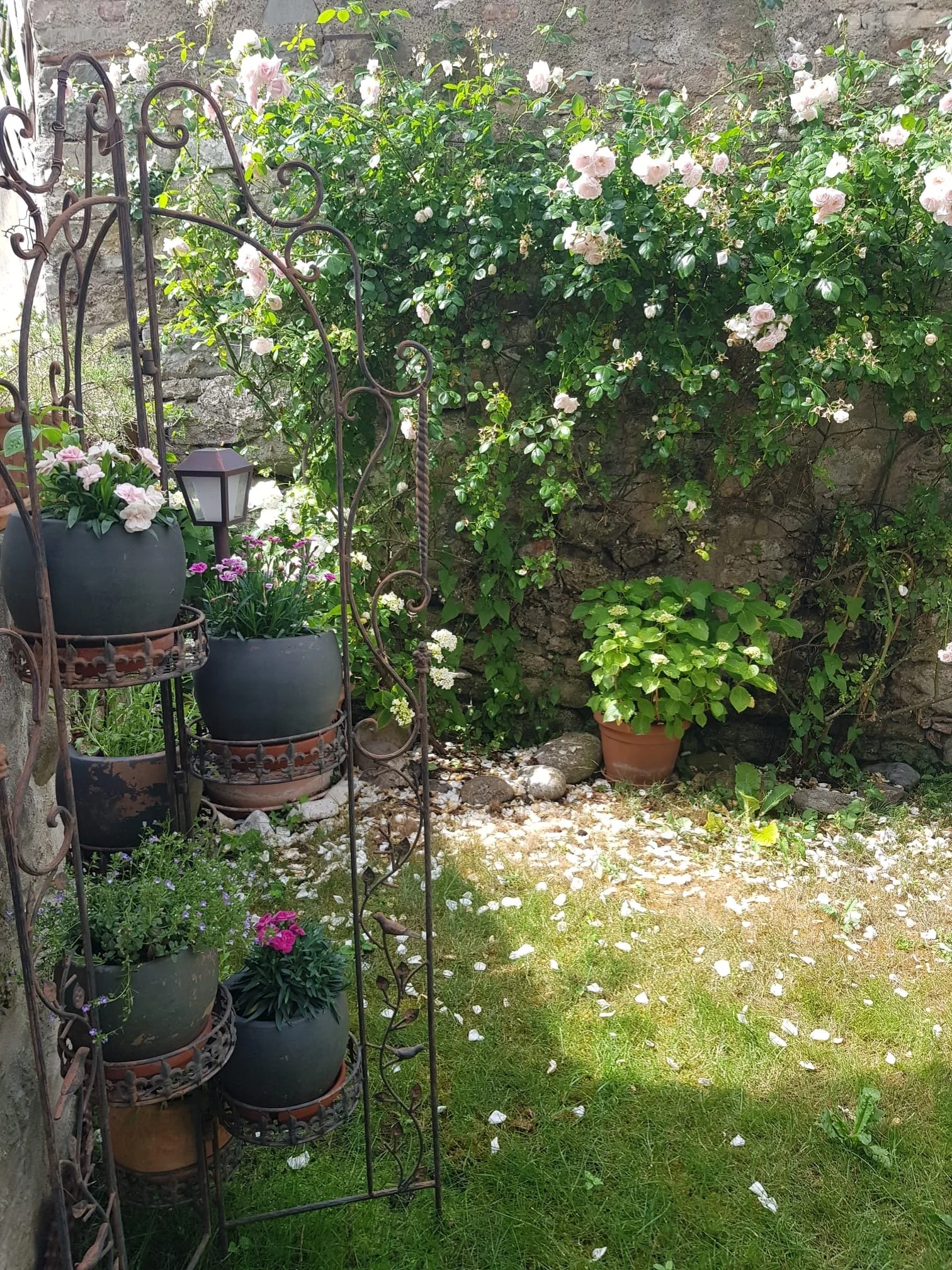6_Garten Mittelmeier.JPG