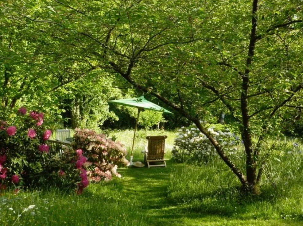 Wildes Paradies